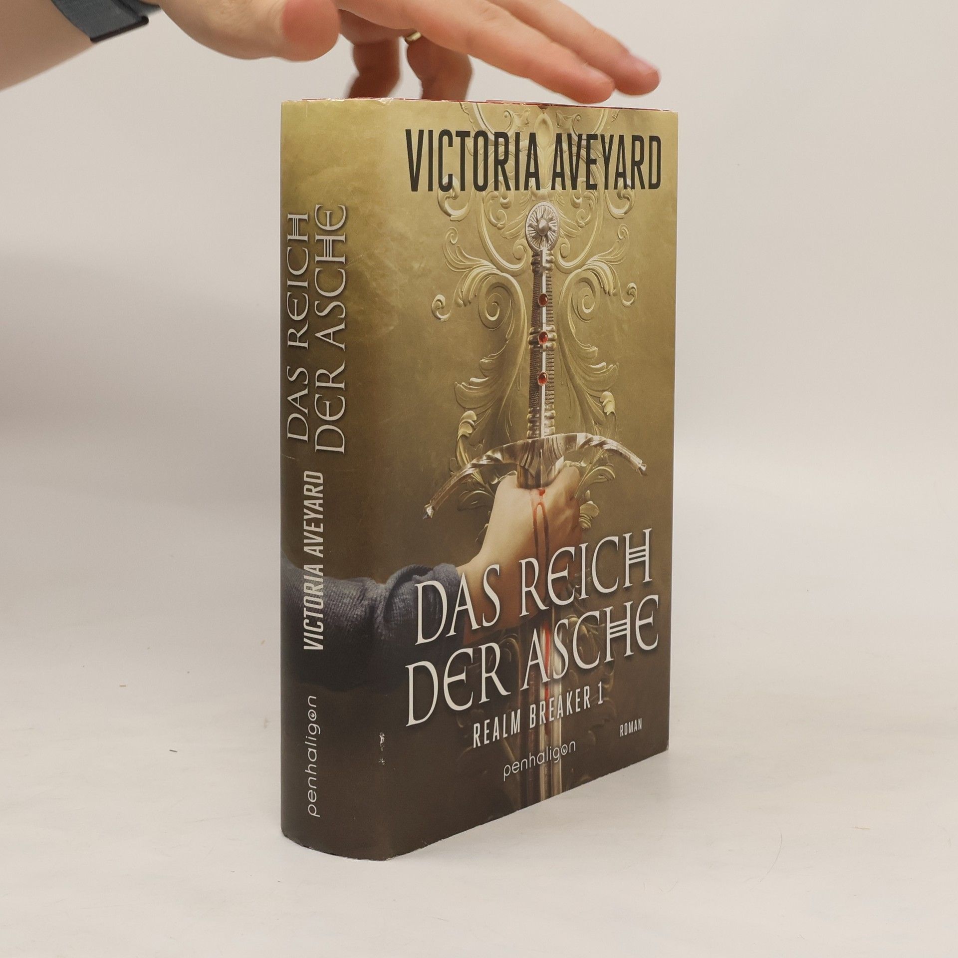 Victoria Aveyard Das Reich der Asche - Realm Breaker 1