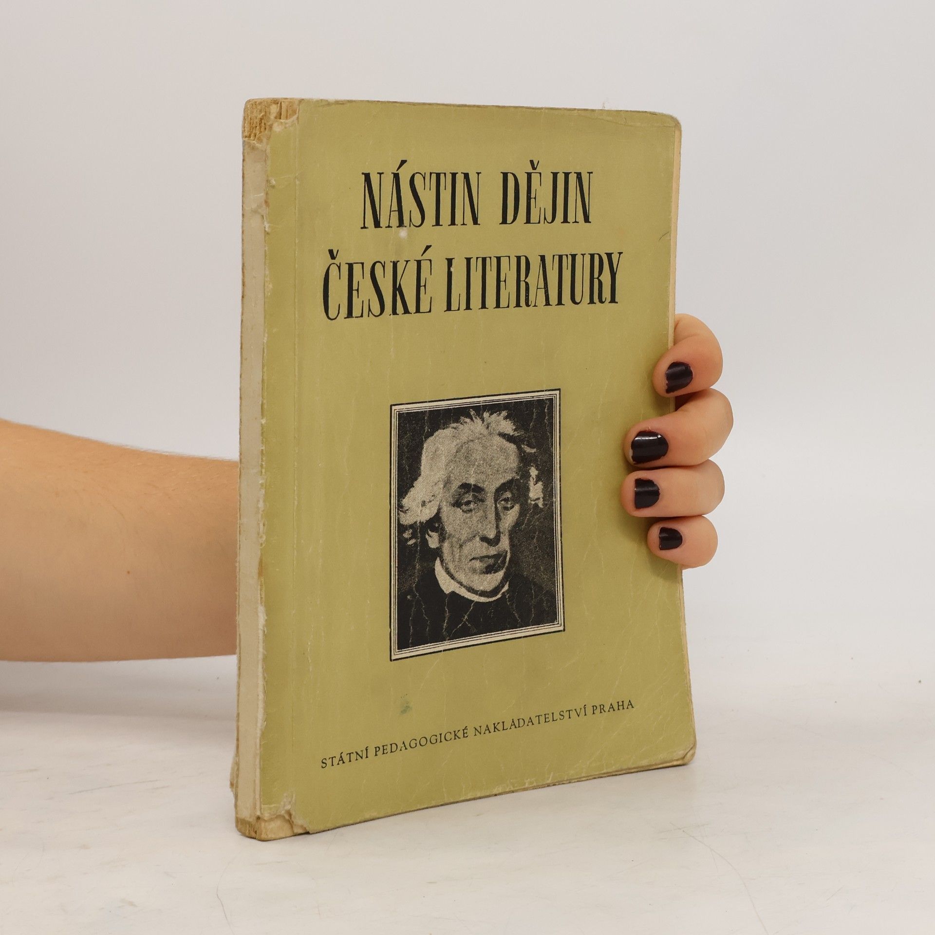 kolektiv Nástin dějin české literatury. Od počátku národního obrození až do současnosti
