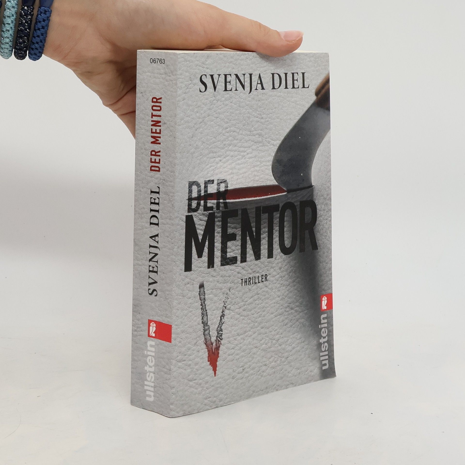 Svenja Diel Der Mentor