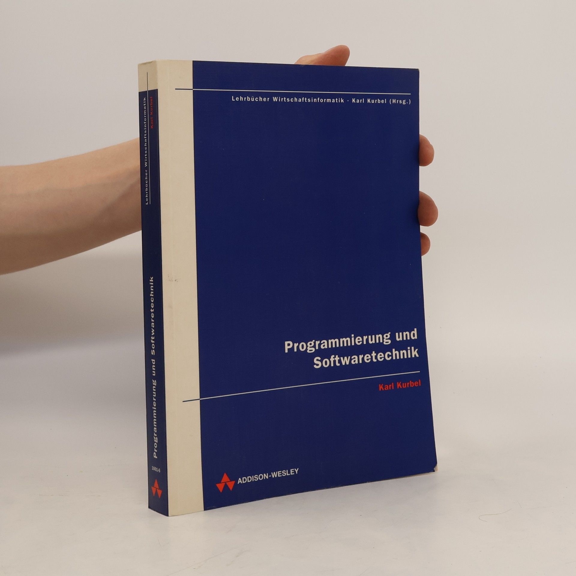 Karl Kurbel Programmierung und Softwaretechnik
