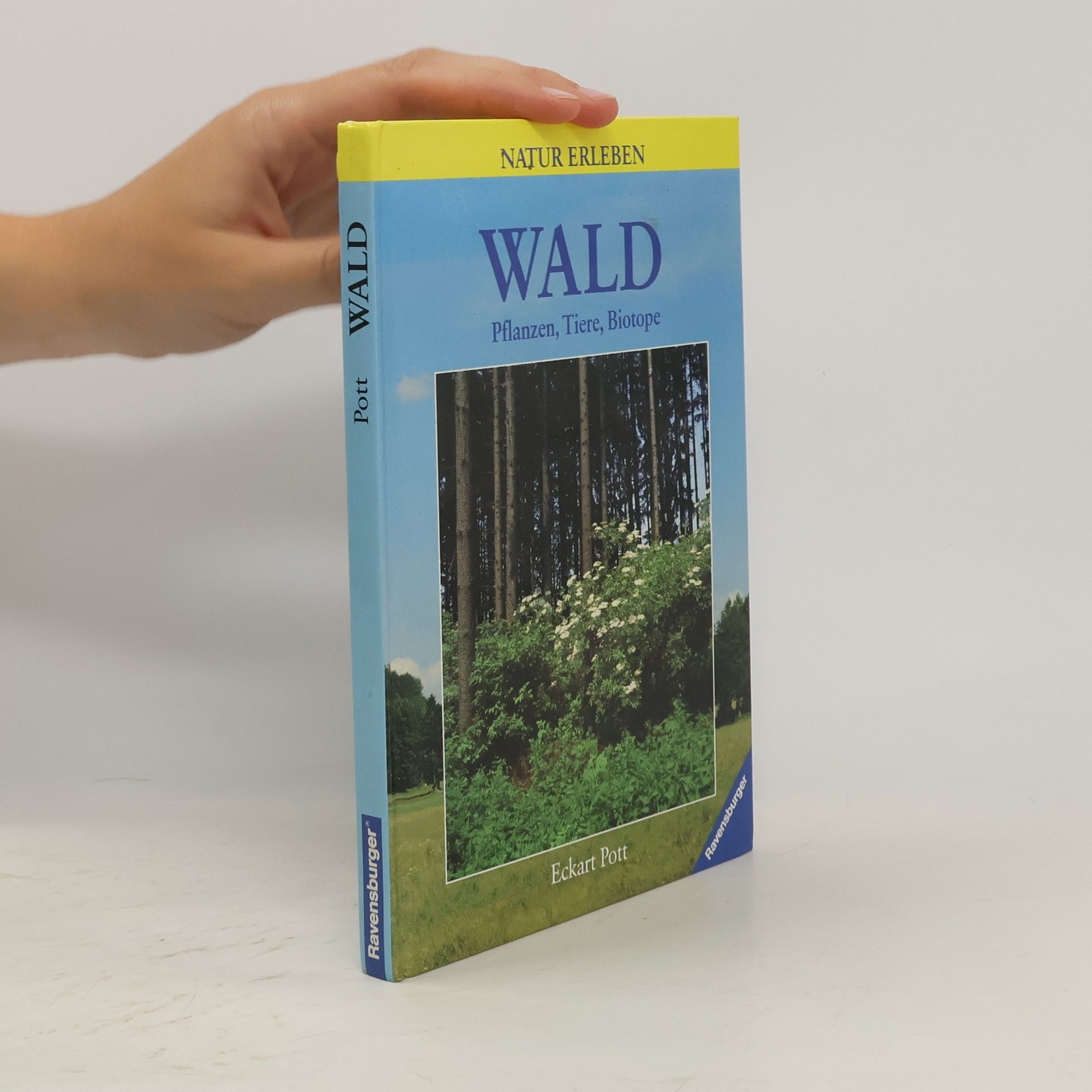 Eckart Pott Wald