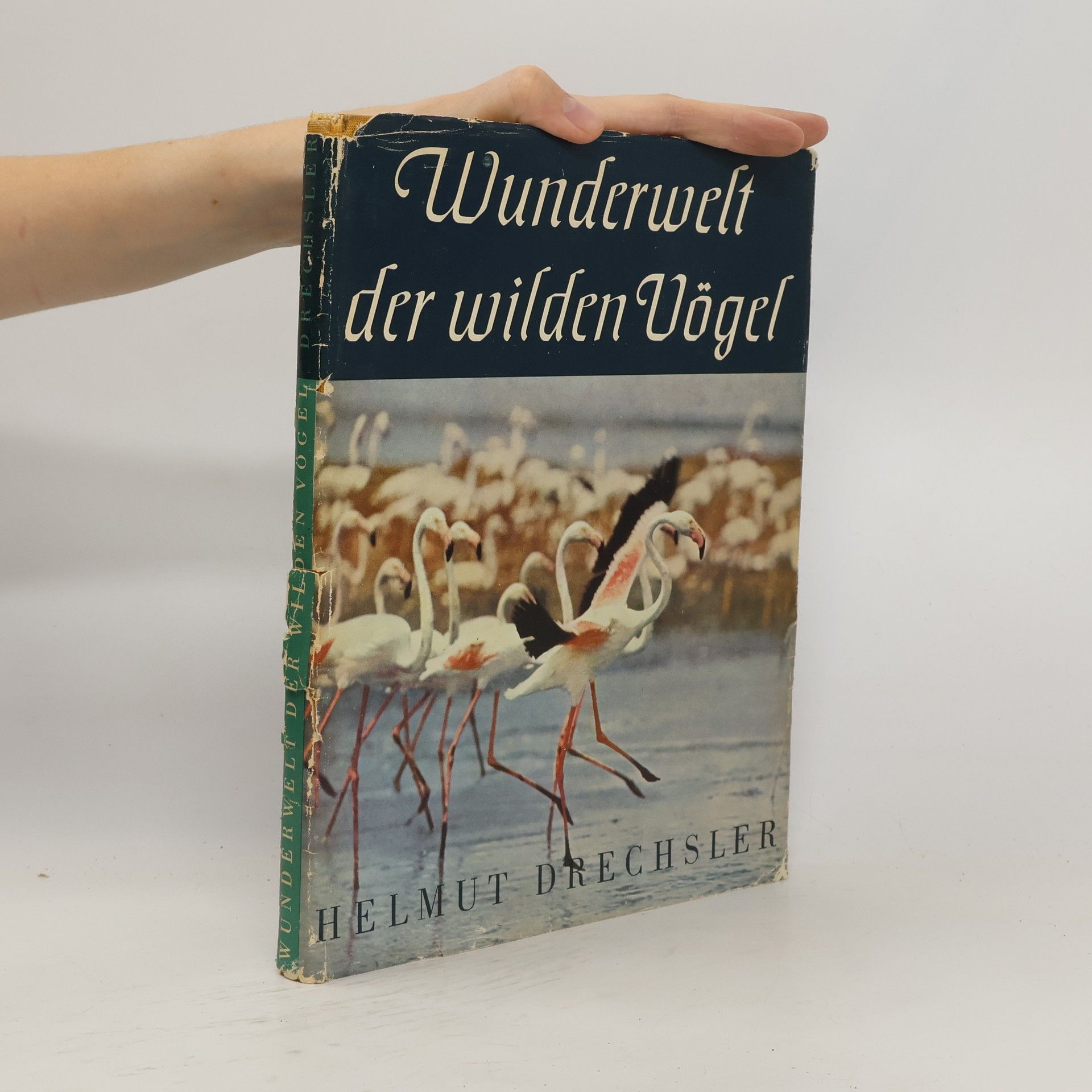 Helmut Drechsler Wunderwelt der wilden Vögel