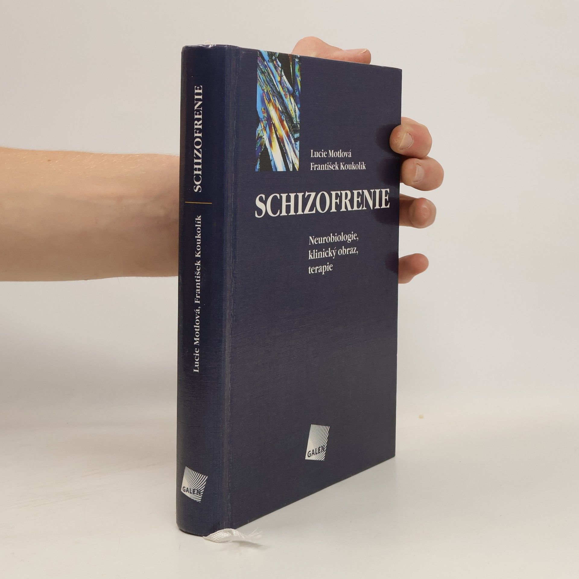 František Koukolík Schizofrenie - Neurobiologie, klinický obraz, terapie