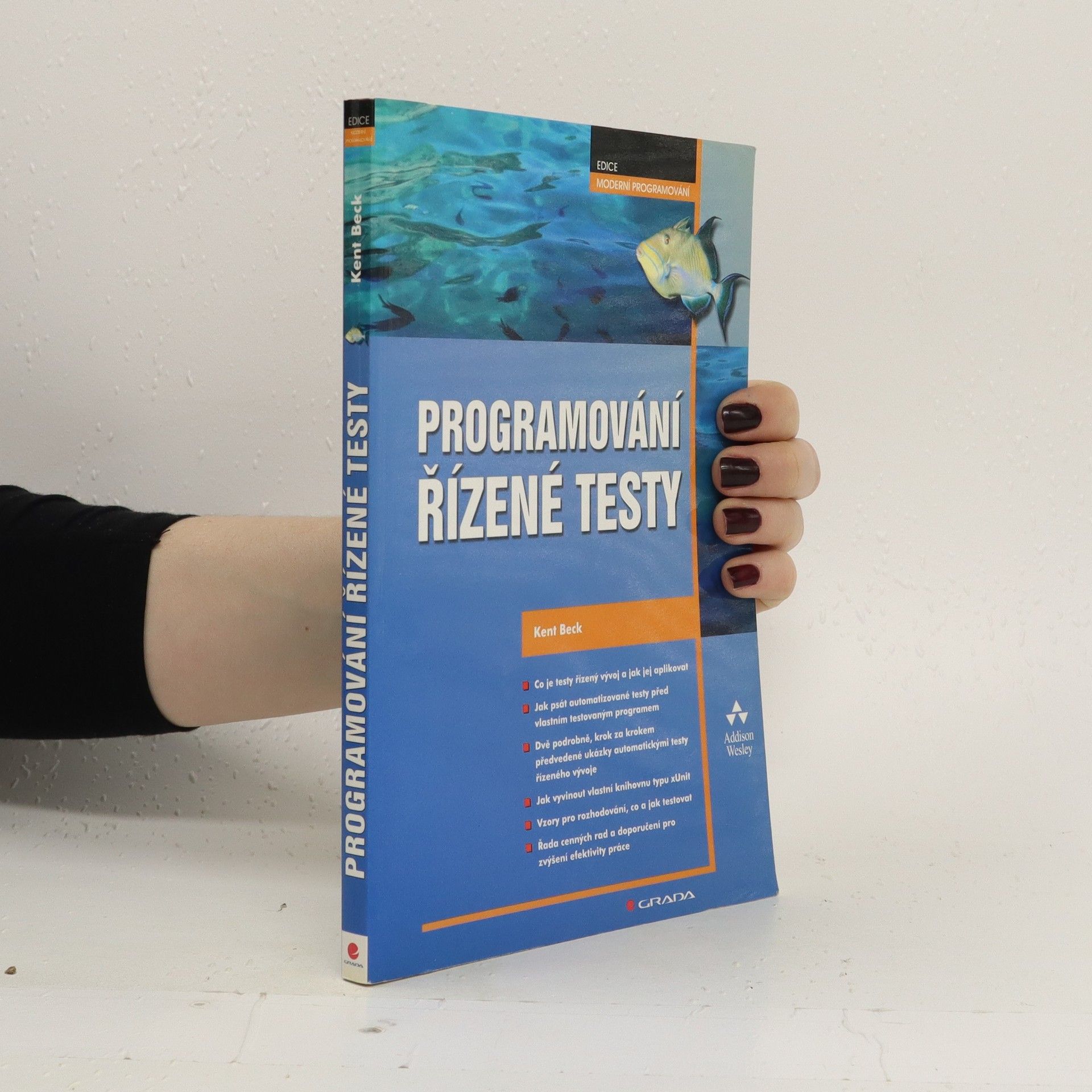 Kent Beck Programování řízené testy