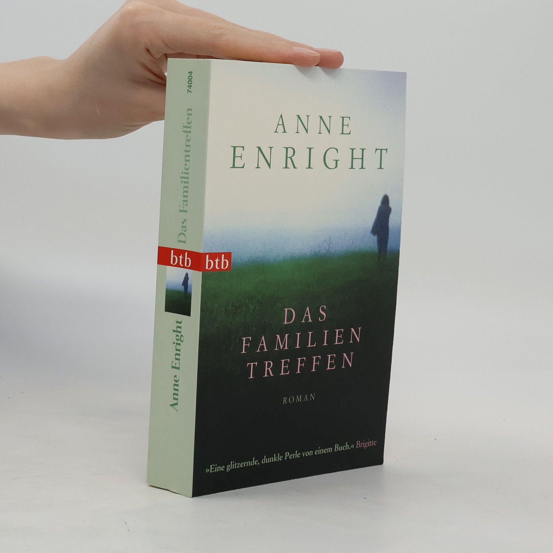 Anne Enright Das Familien Treffen