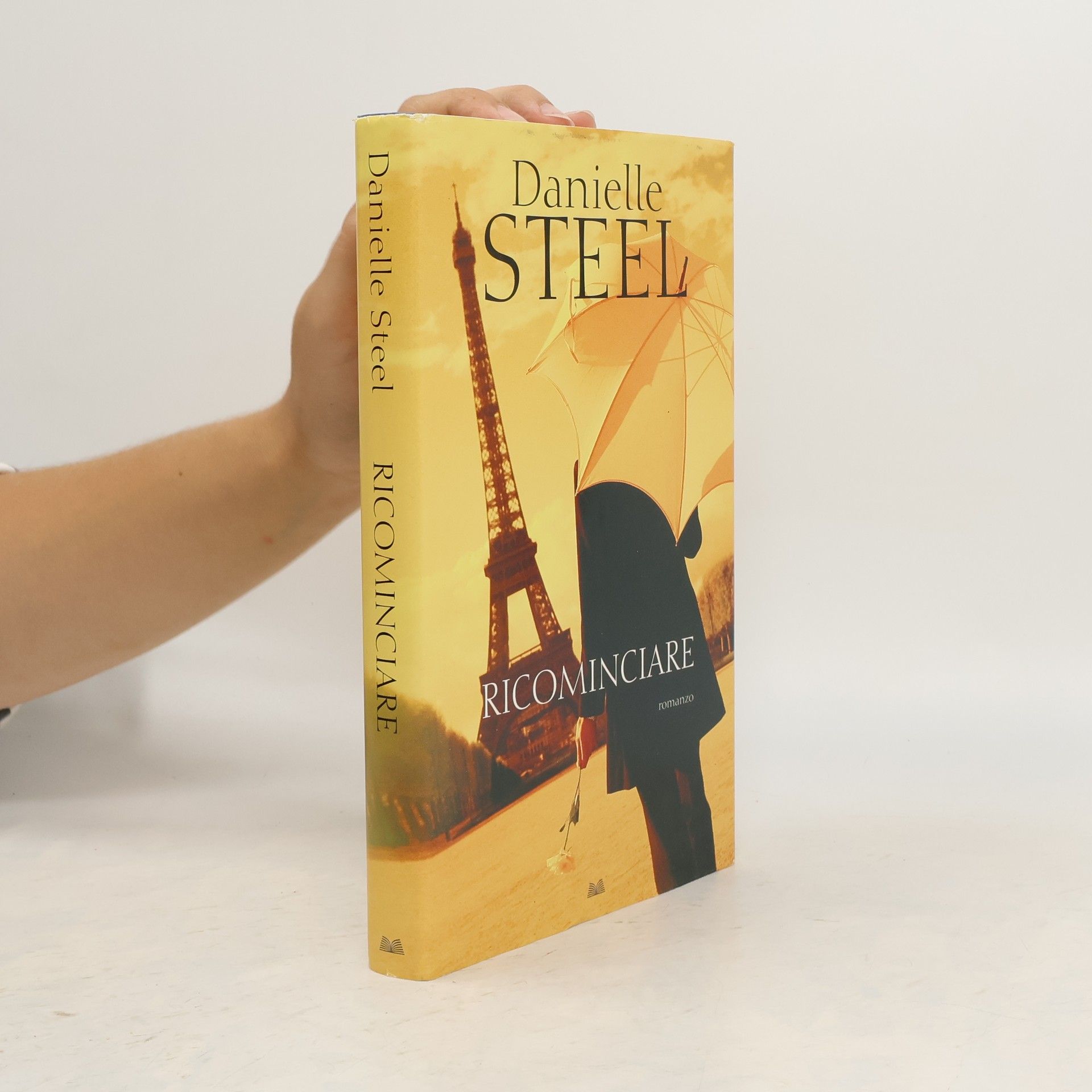 Danielle Steel Ricominciare