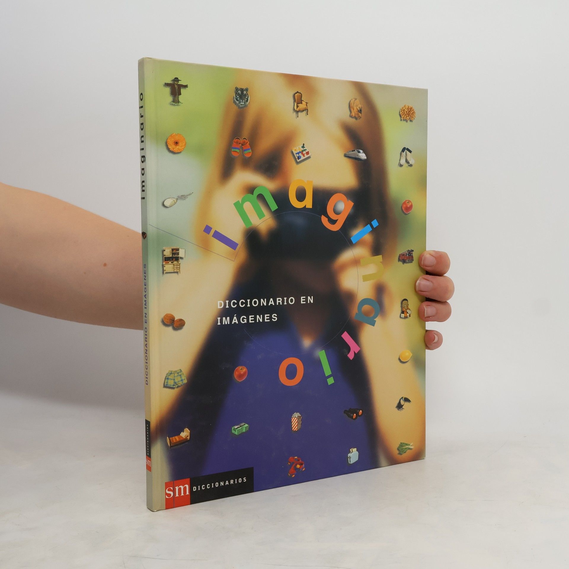 Autorenkollektiv Imaginario. Diccionario en Imágenes