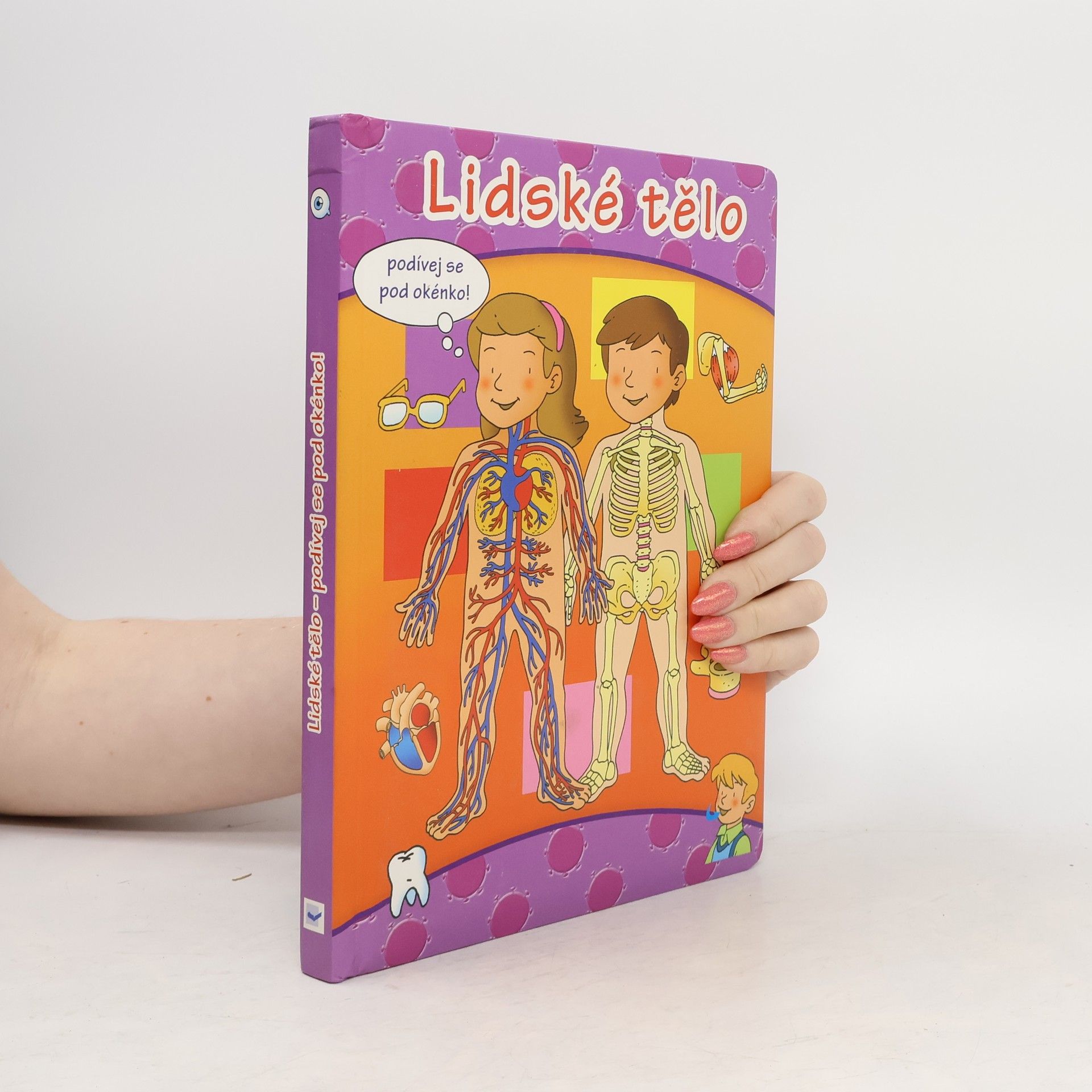 kolektiv Lidské tělo – podívej se pod okénko!