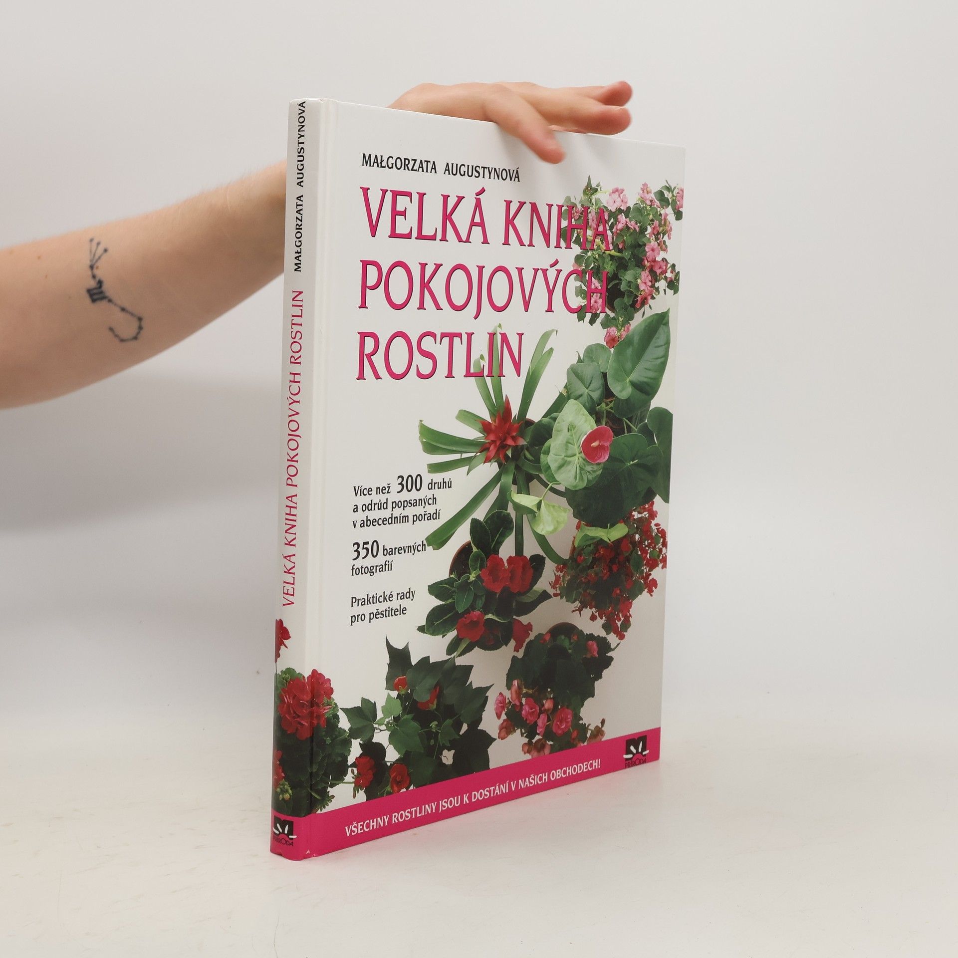 Małgorzata Augustyn Velká kniha pokojových rostlin