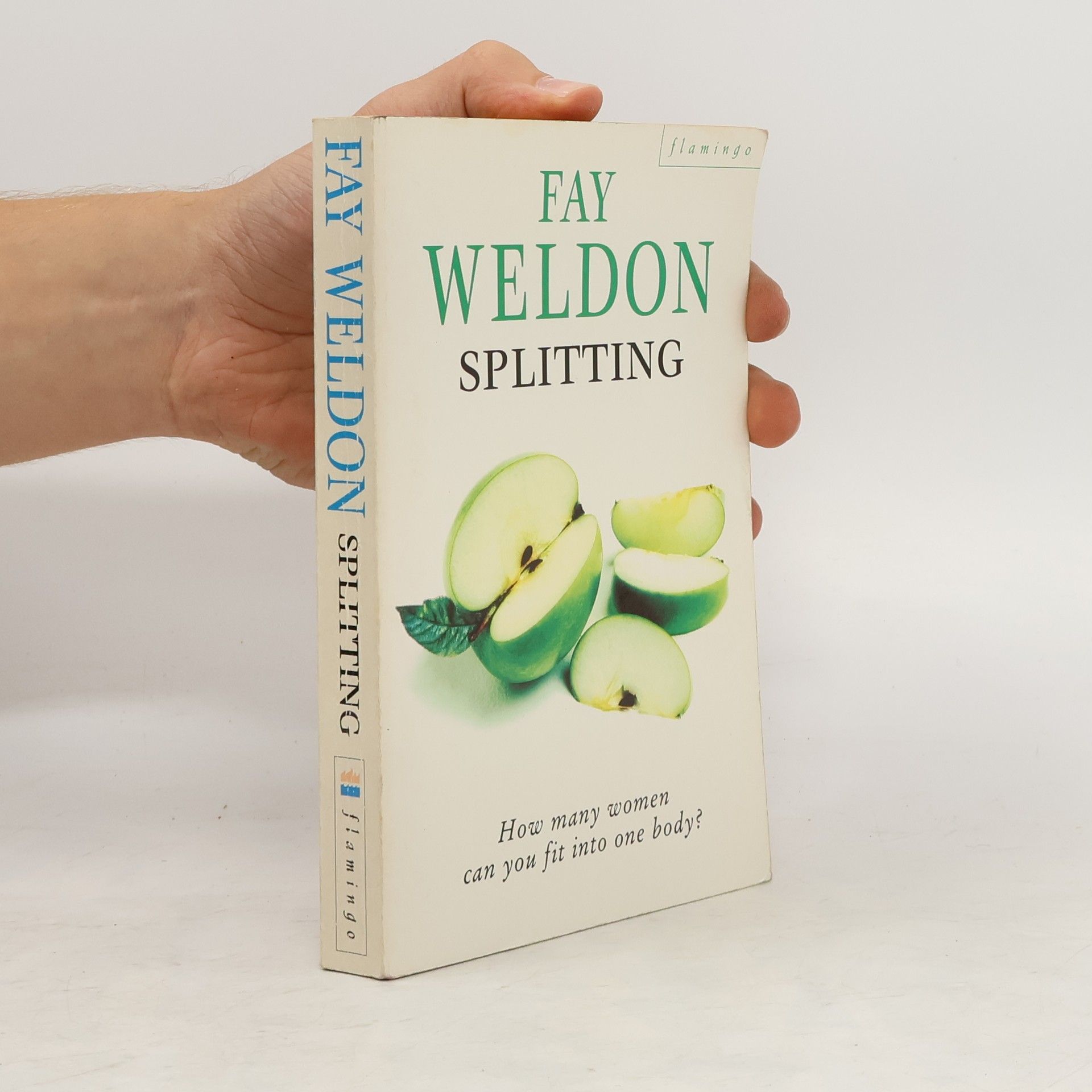 Fay Weldon Splitting