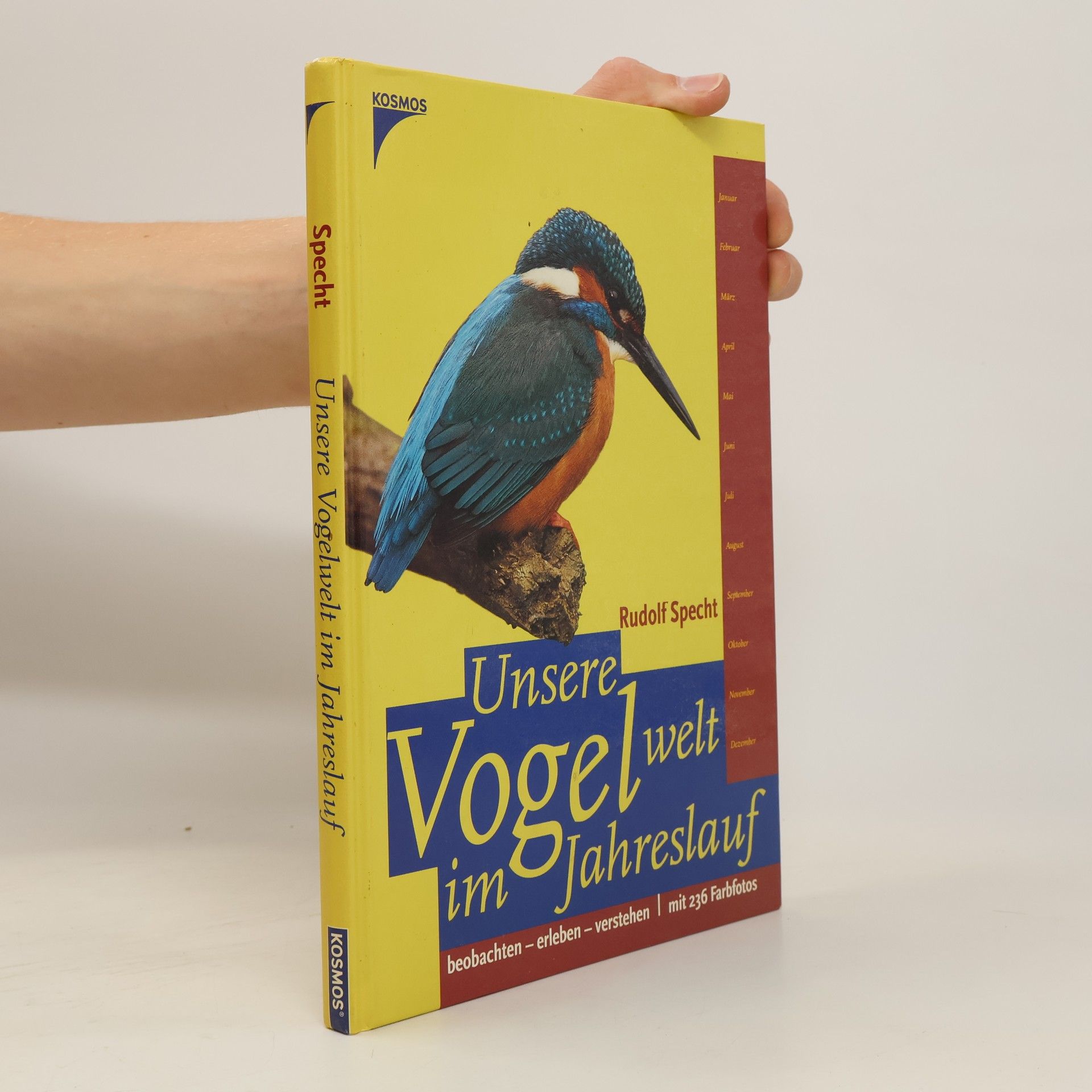 Rudolf Specht Unsere Vogelwelt im Jahreslauf