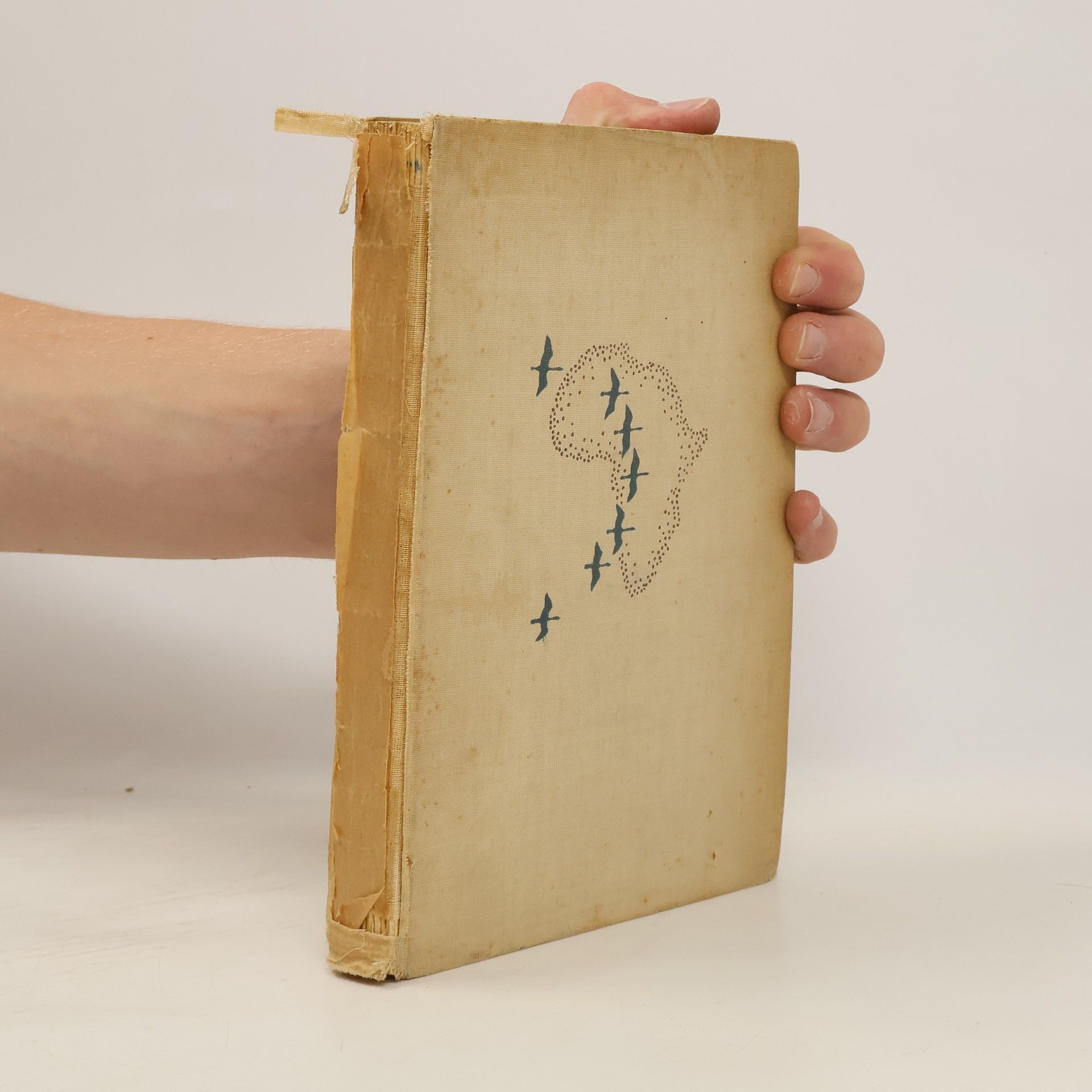 Bengt Berg Mit den Zugvögeln nach Afrika