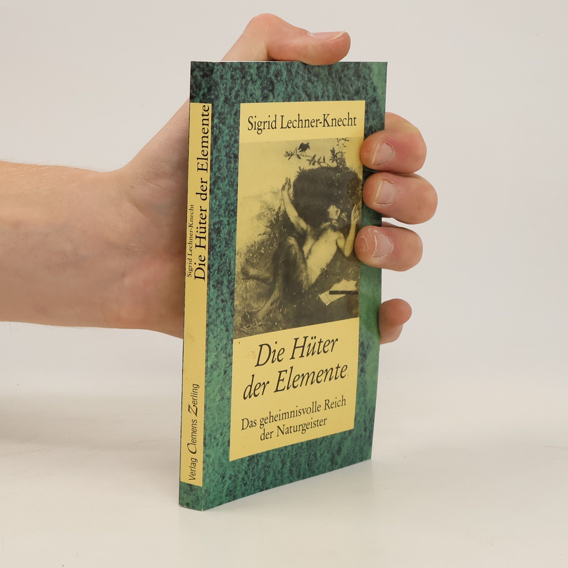 Sigrid Lechner Knecht Die Hüter der Elemente