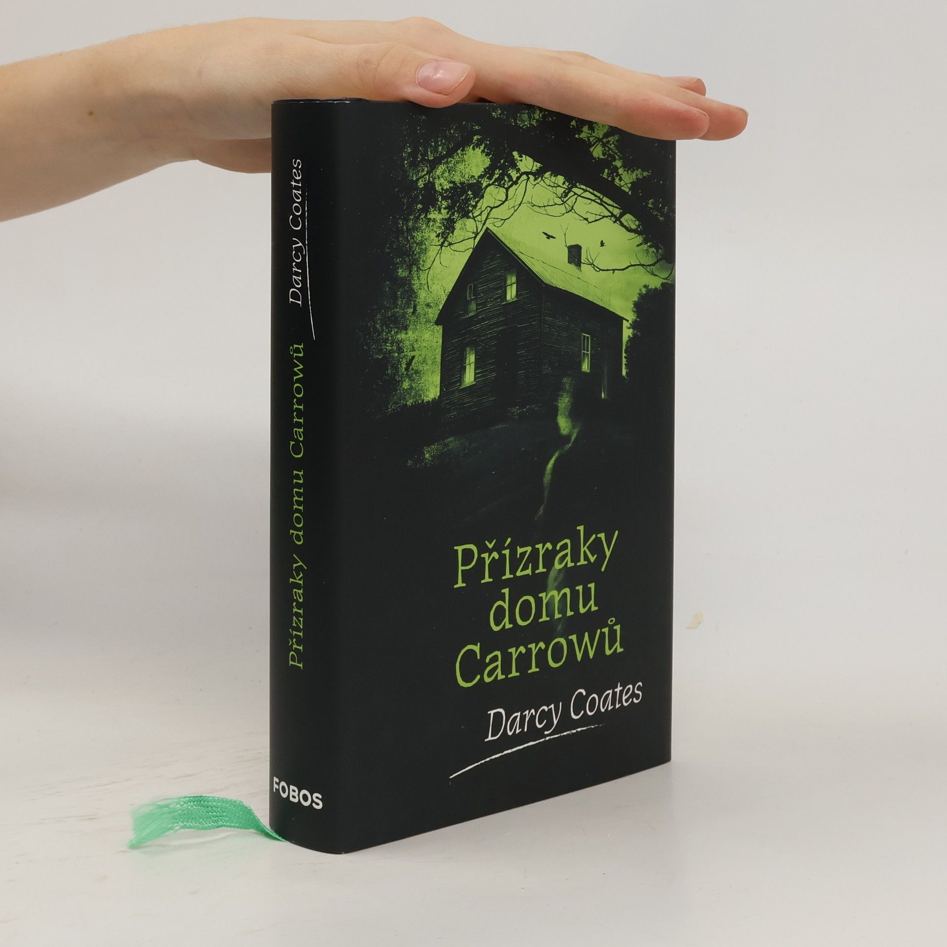 Darcy Coates Přízraky domu Carrowů