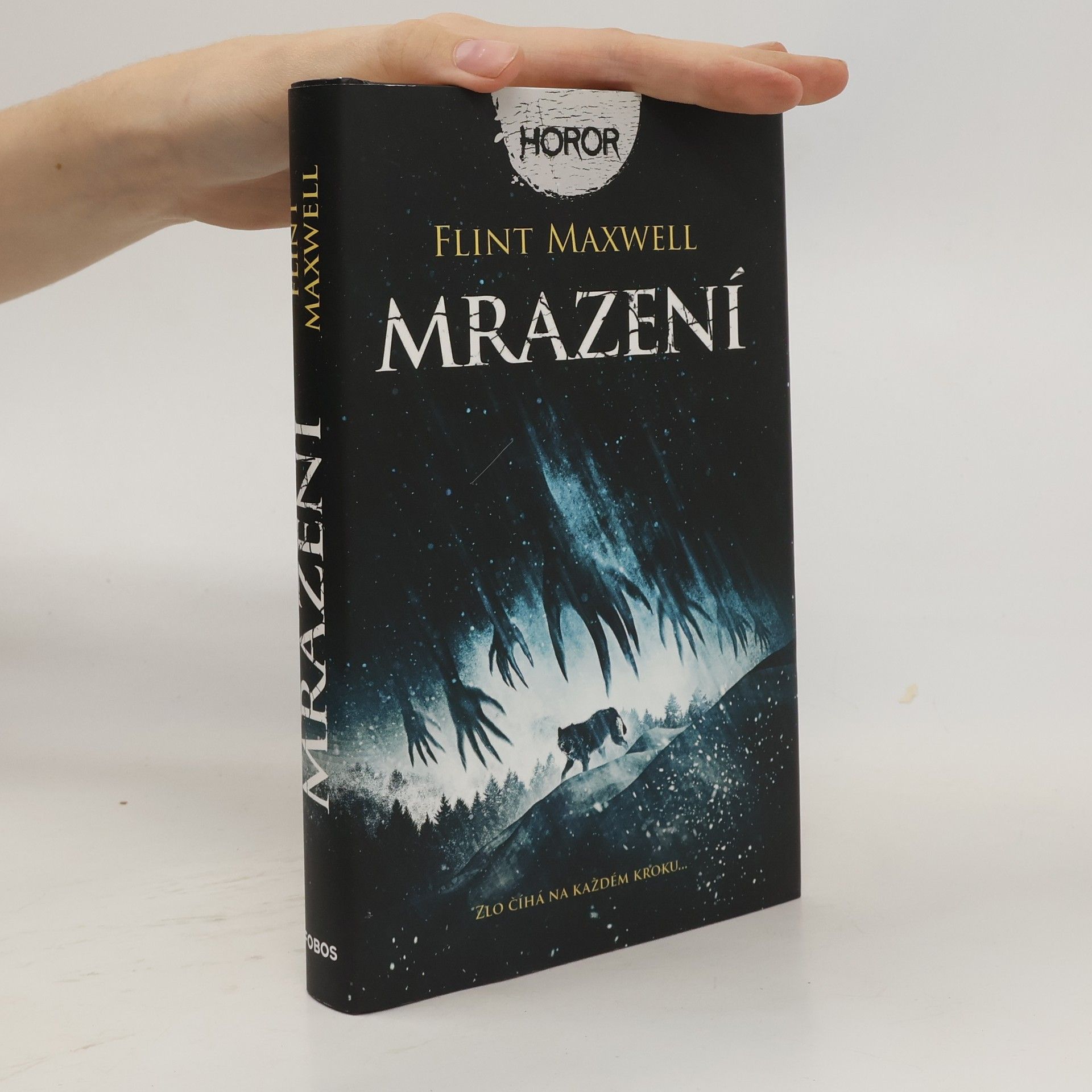Flint Maxwell Mrazení