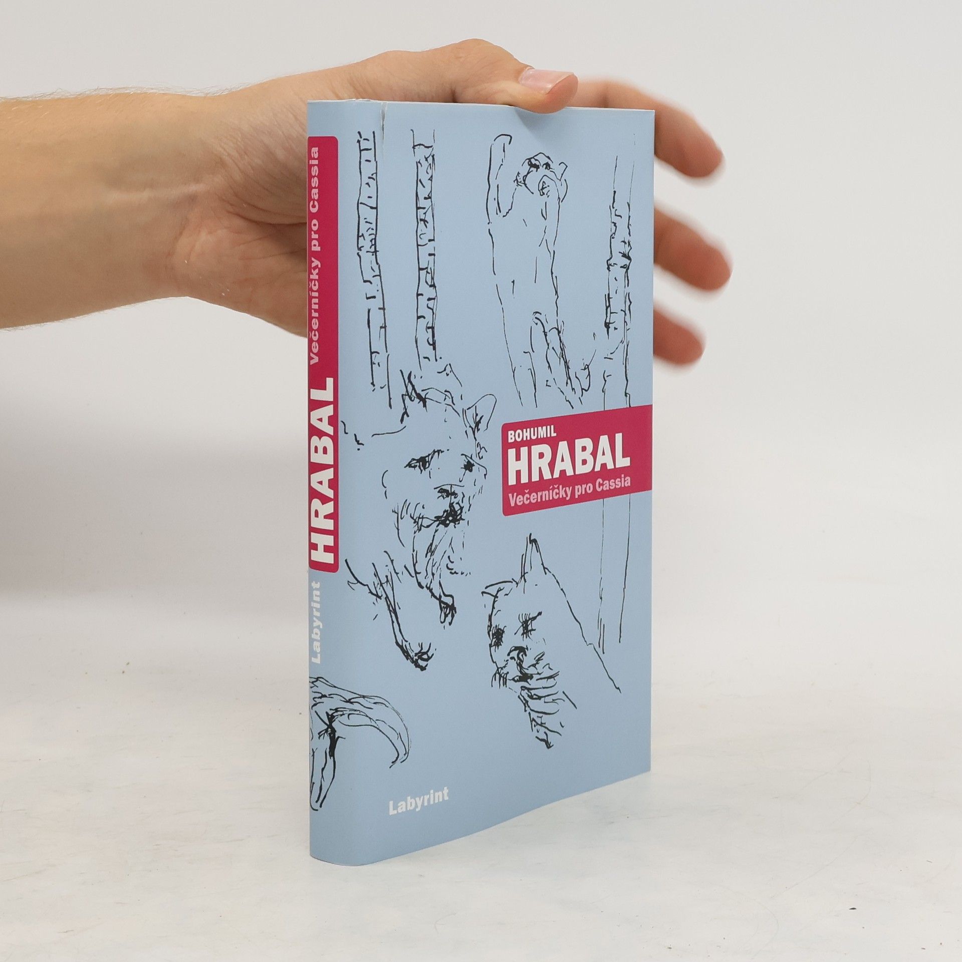 Bohumil Hrabal Večerníčky pro Cassia: Vybrané texty z let 1989-1994