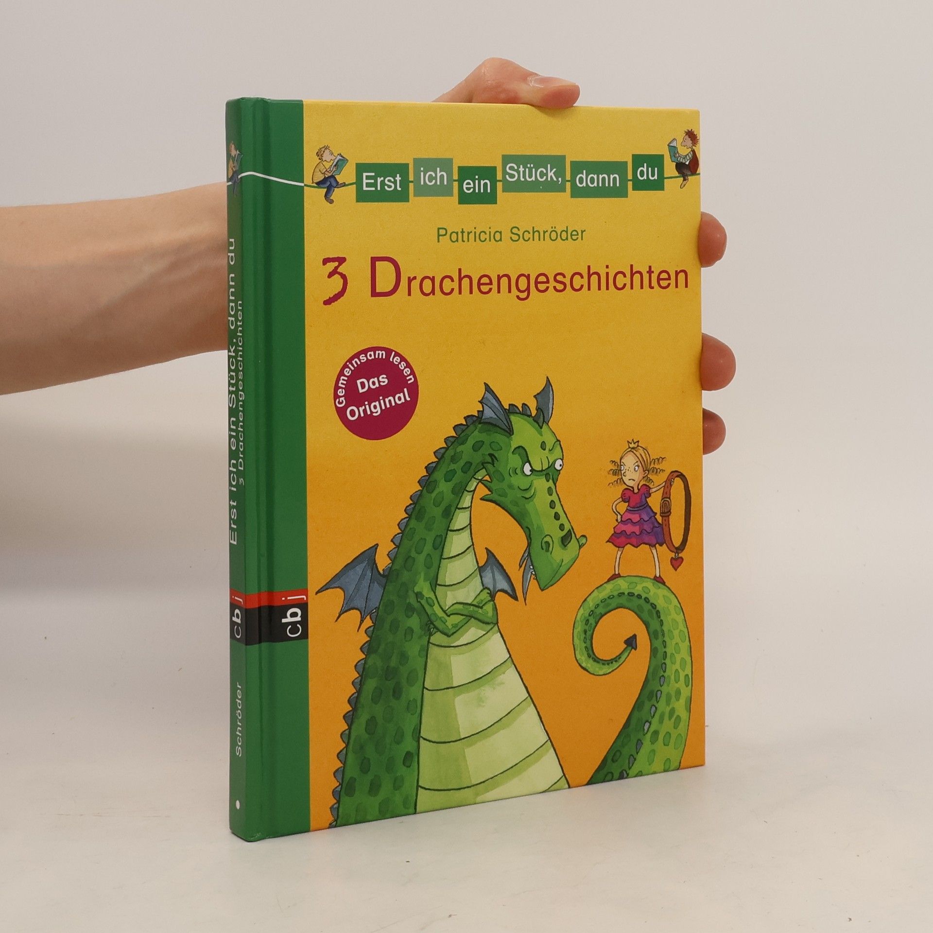 Patricia Schröder 3 Drachengeschichten