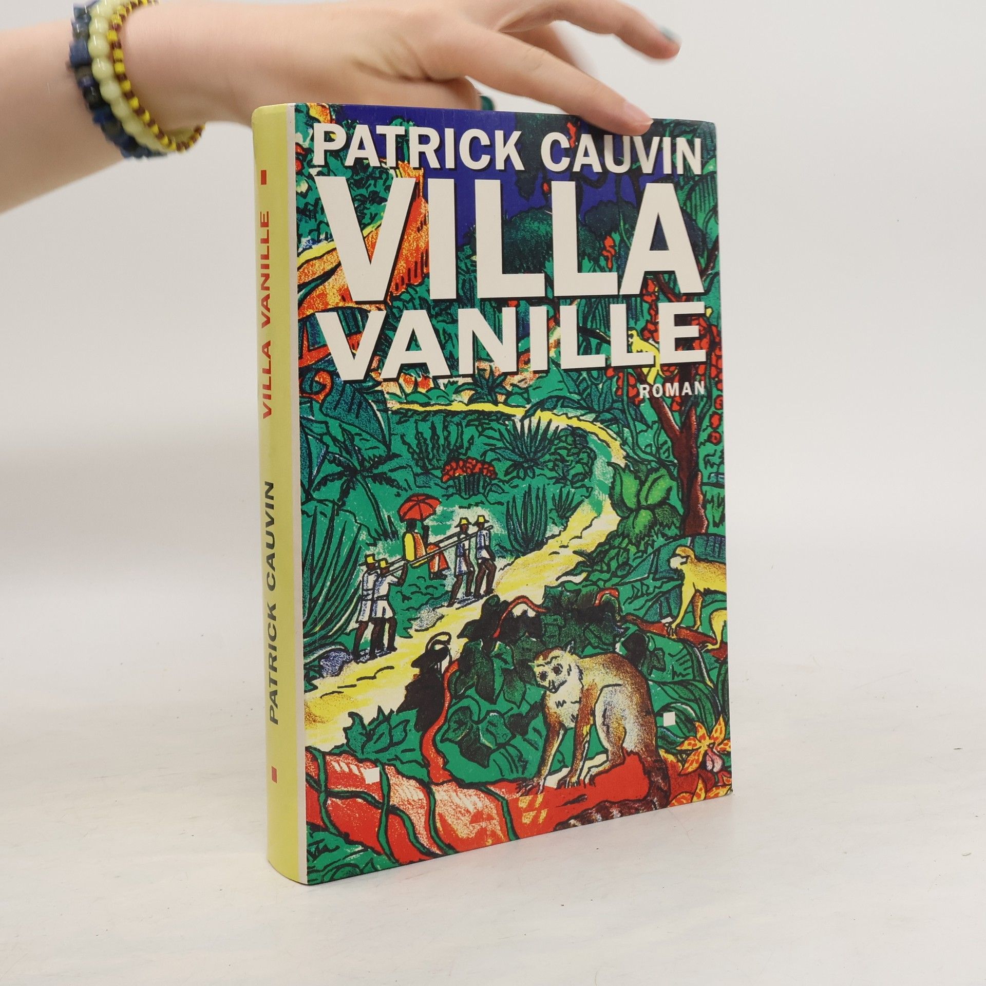 Patrick Cauvin Villa Vanille