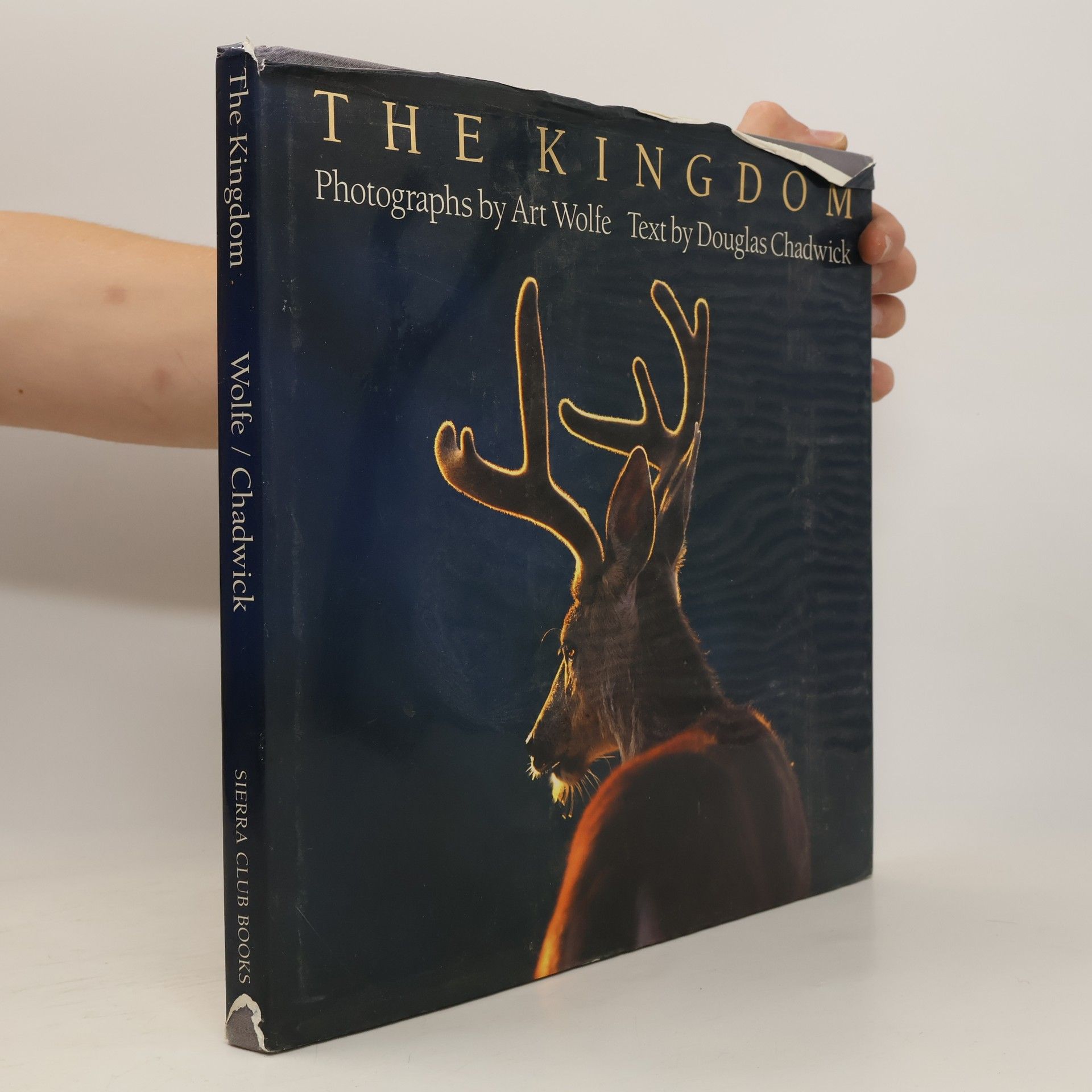 Douglas Chadwik The kingdom: wildlife in North America
