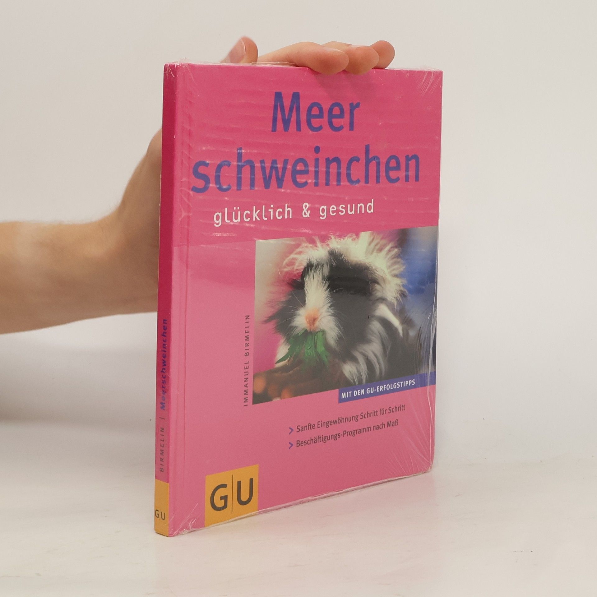 Immanuel Birmelin Meerschweinchen