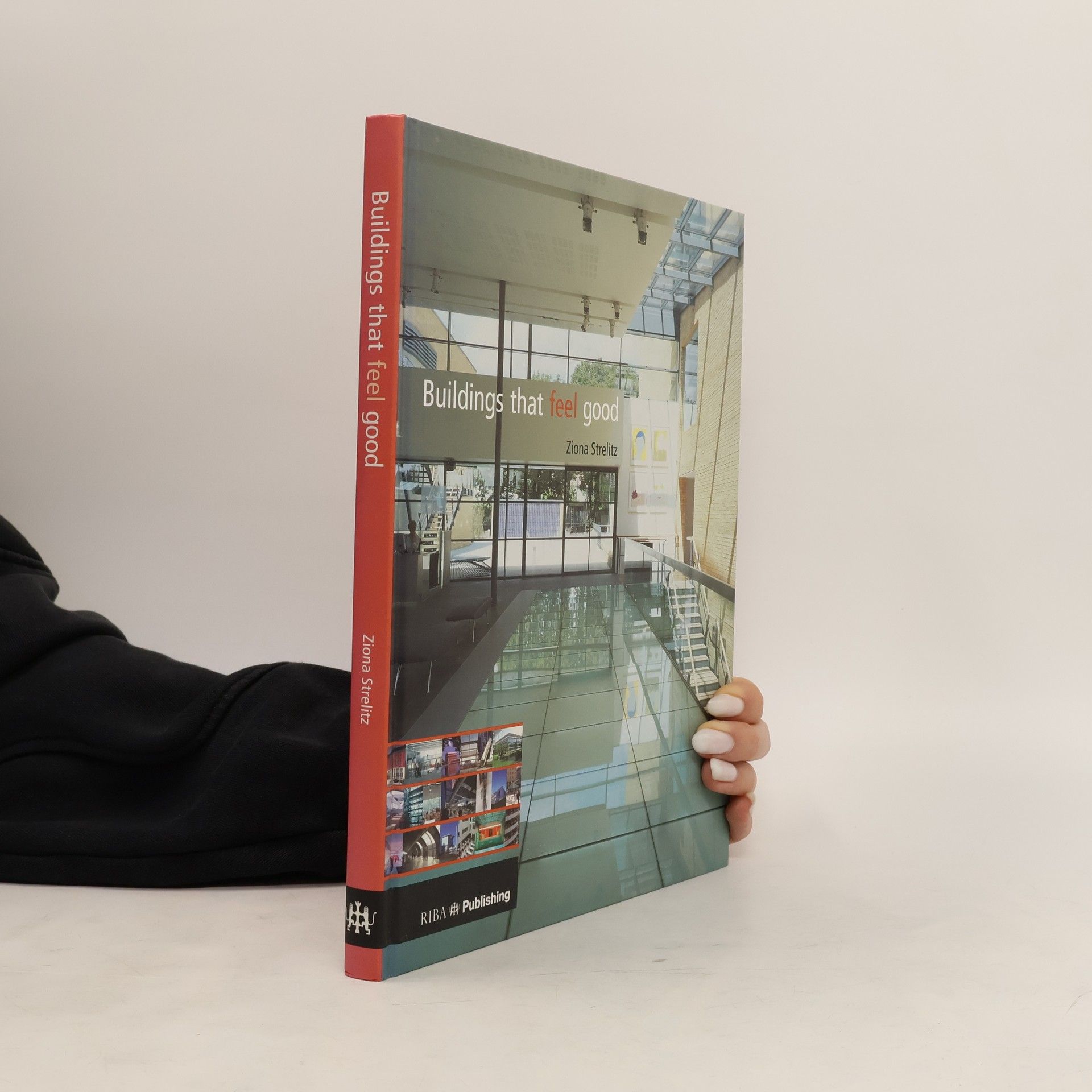 Ziona Strelitz Buildings that Feel Good