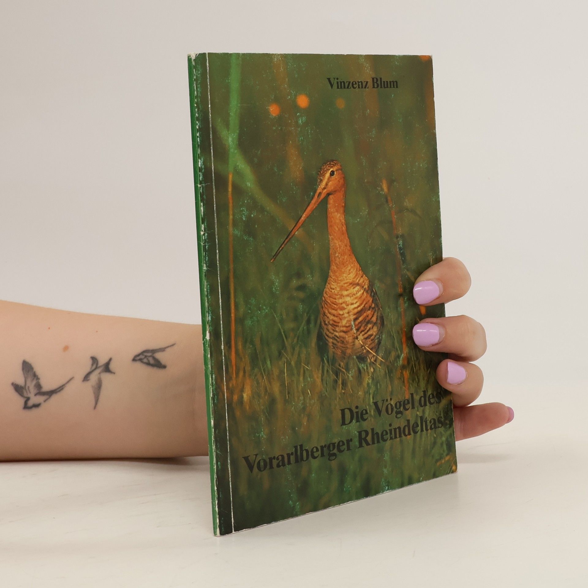 Vinzenz Blum Die Vögel des Vorarlberger Rheindeltas