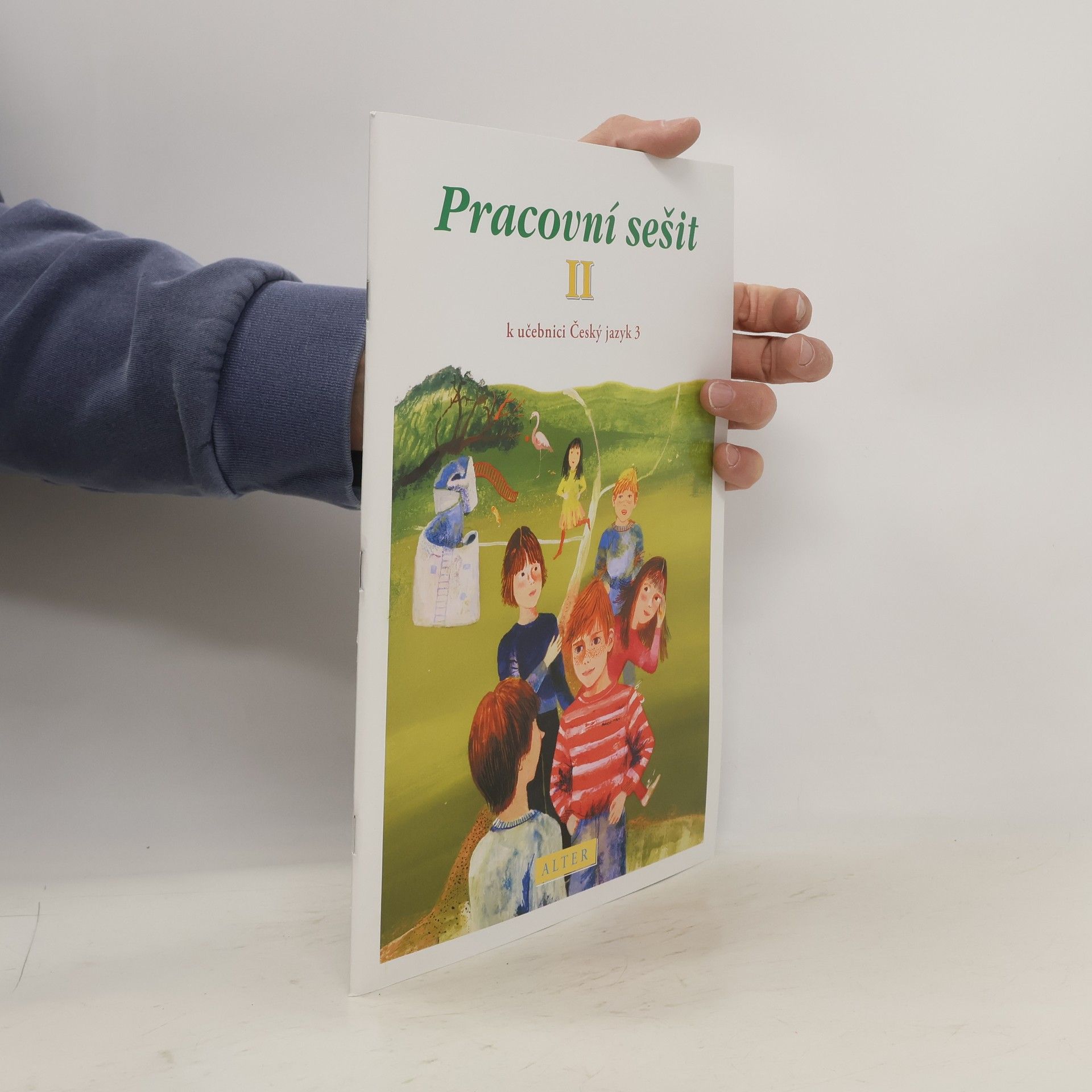 Lenka Bradáčová Pracovní sešit II. k učebnici Český jazyk 3