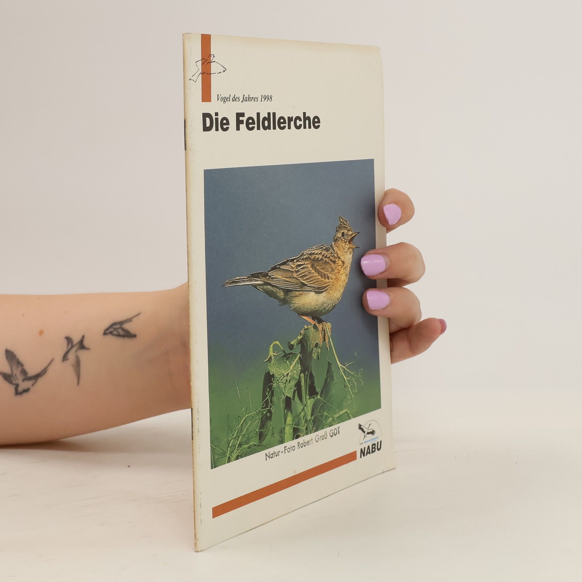Michael Lohmann Die Feldlerche