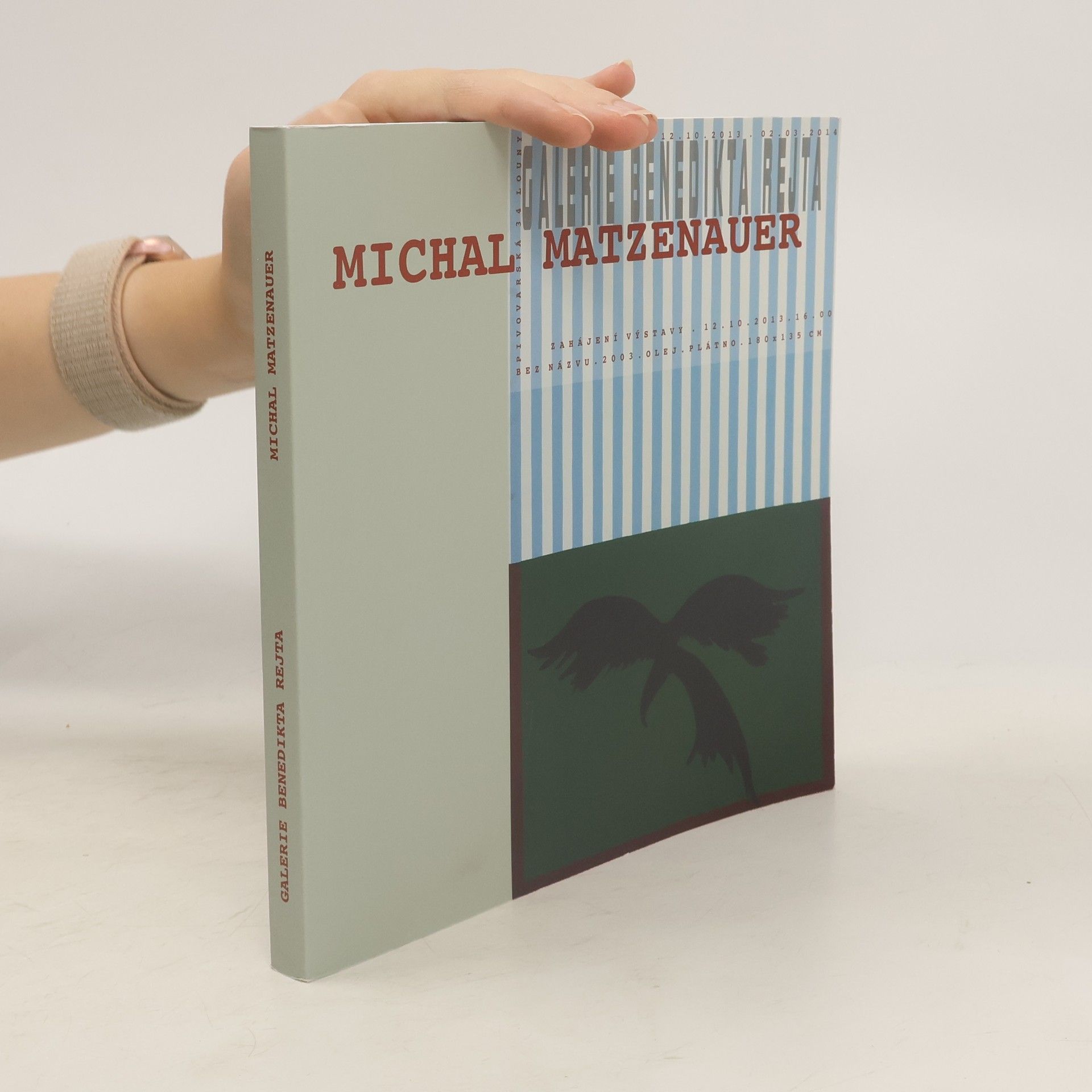 Collectif d'auteurs Michal Matzenauer