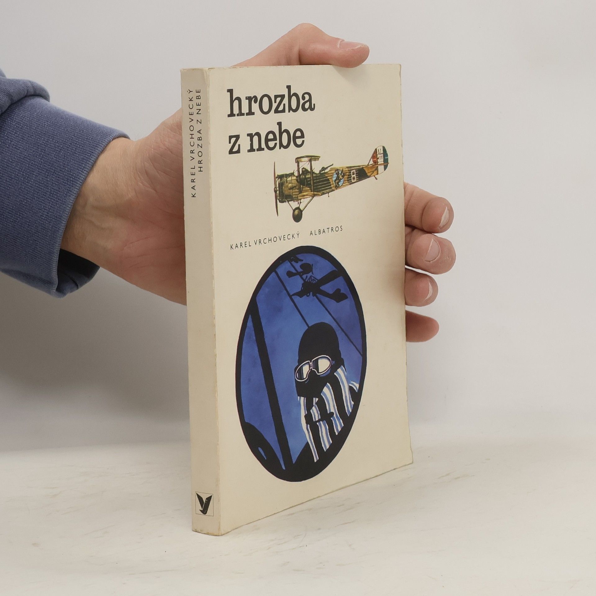 Miroslav Váša Hrozba z nebe. Malé dějiny vzdušné války