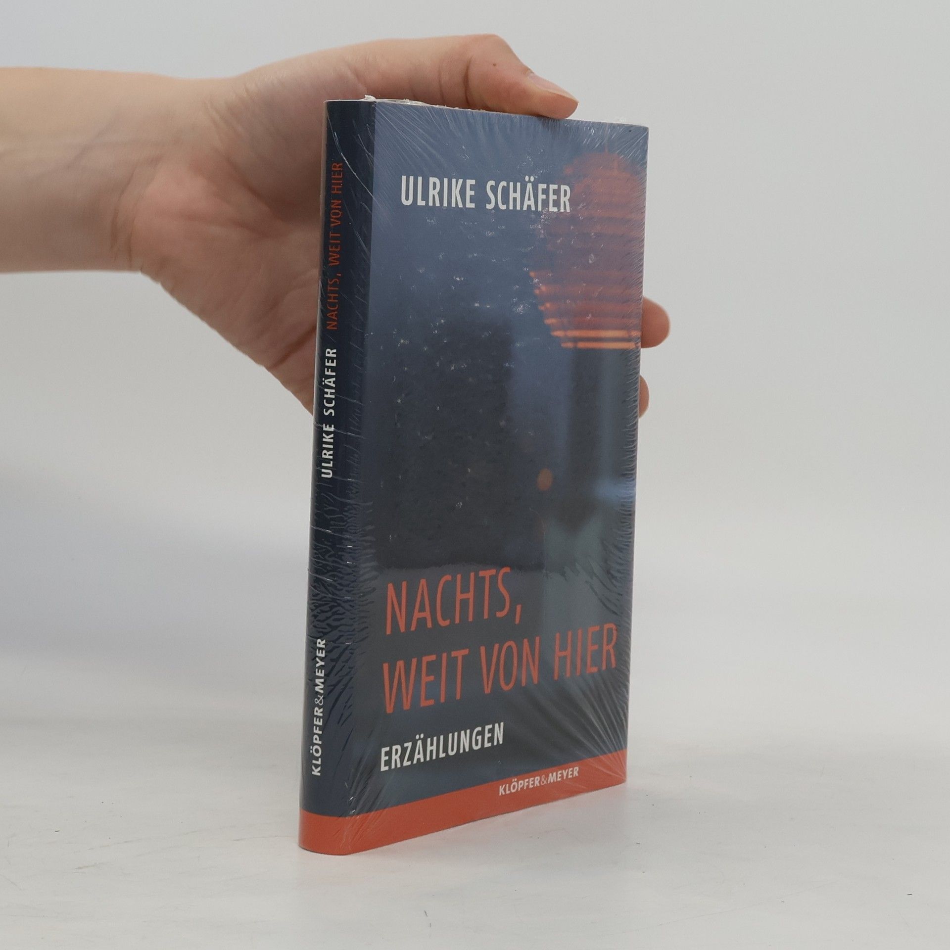 Ulrike Schäfer Nachts, weit von hier