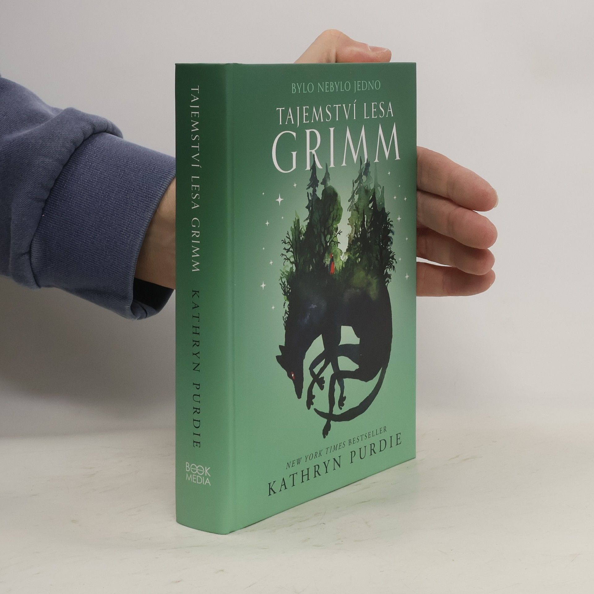 Kathryn Purdie Tajemství lesa Grimm
