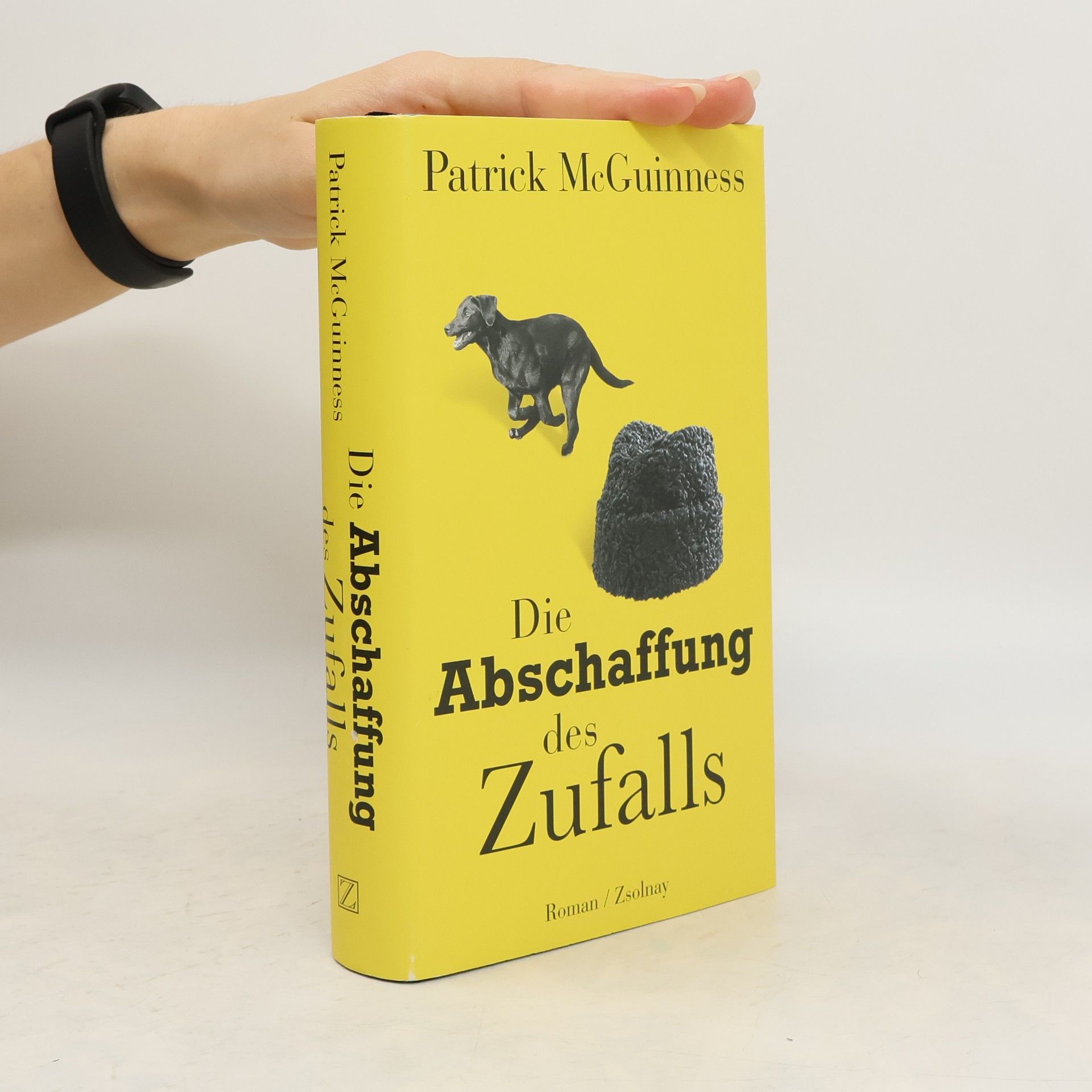 Patrick McGuinness Die Abschaffung des Zufalls