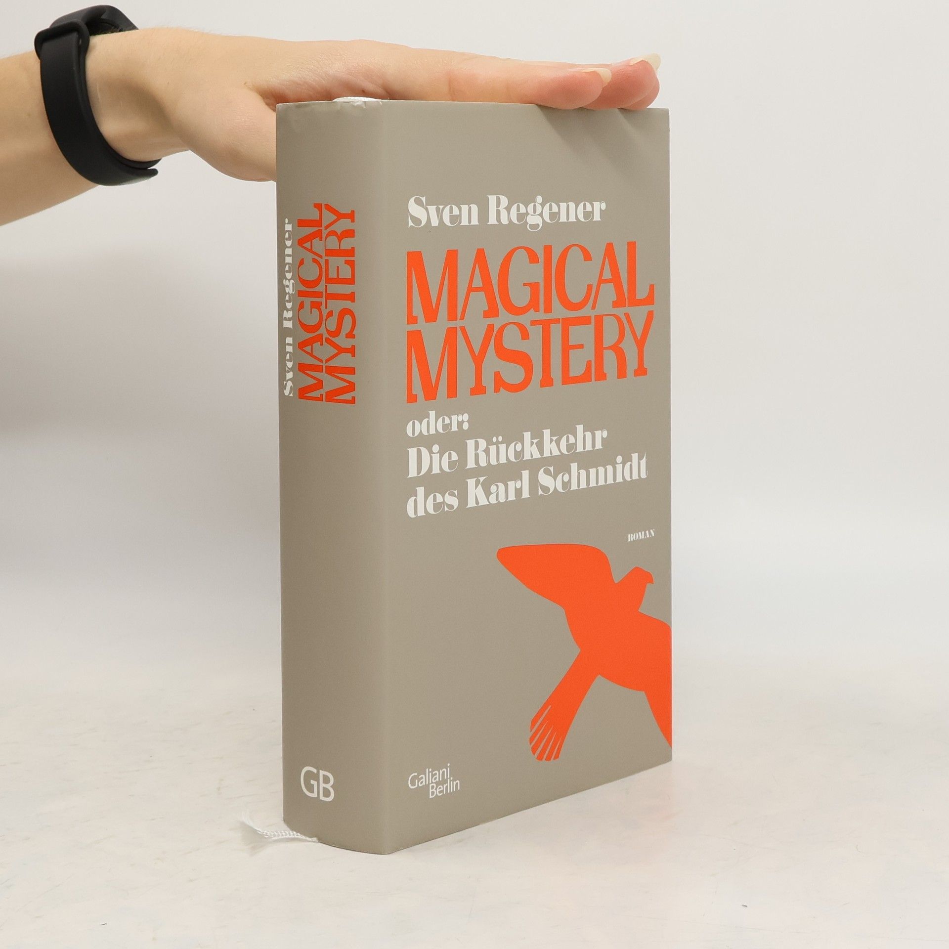 Sven Regener Magical Mystery oder: die Rückkehr des Karl Schmidt