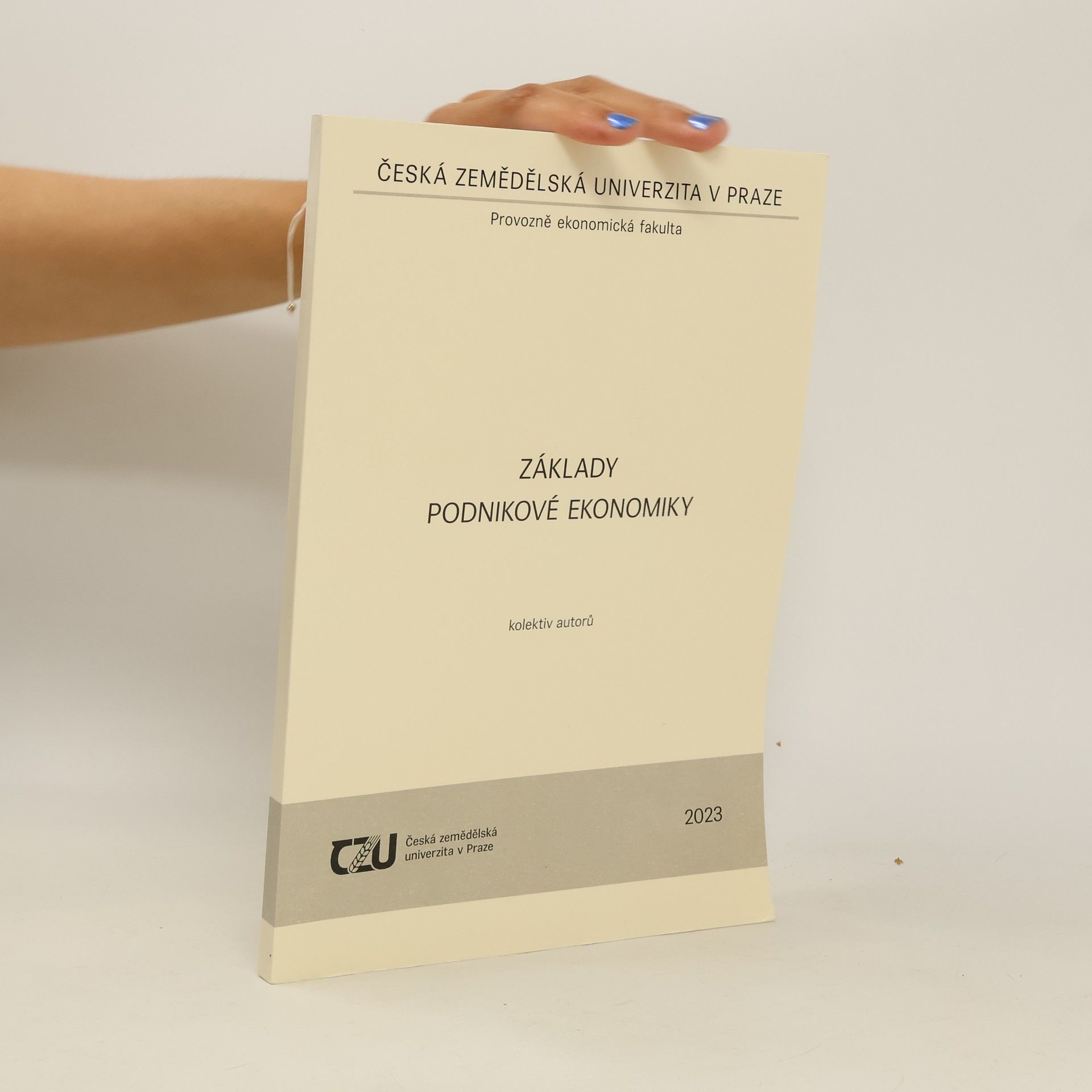Autorenkollektiv Základy podnikové ekonomiky