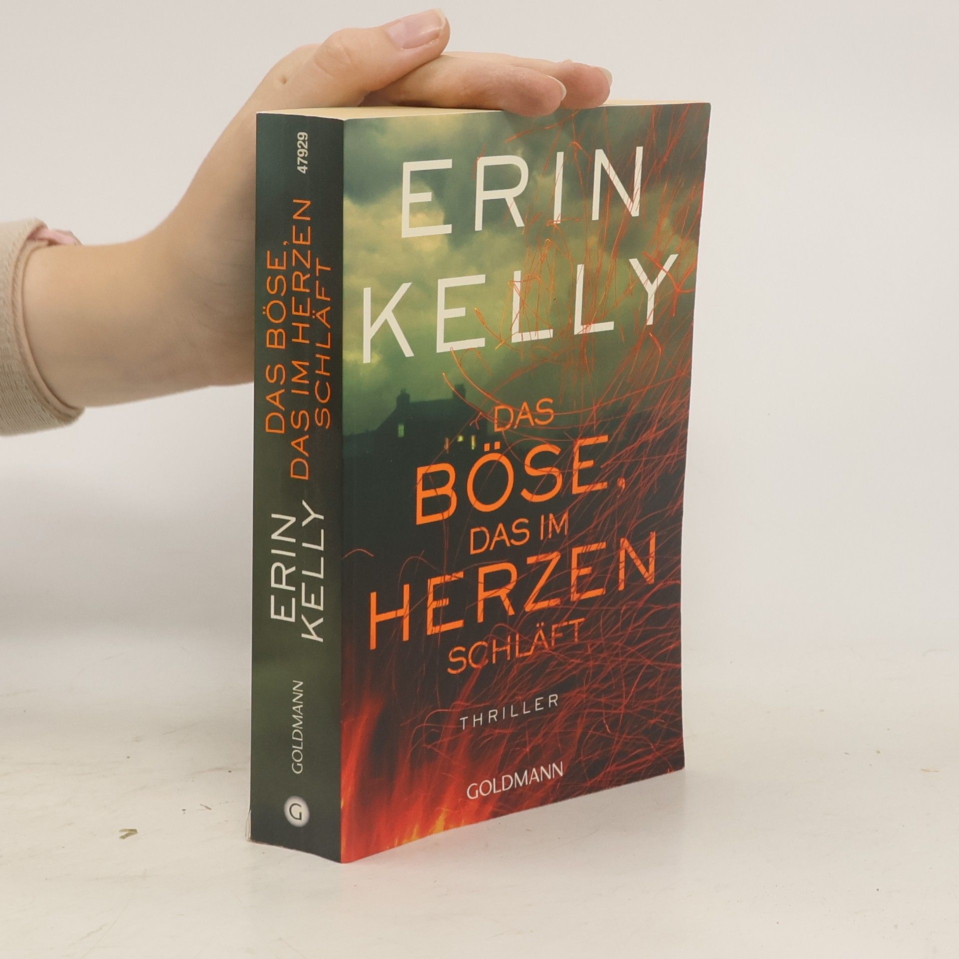 Erin Kelly Das Böse, das im Herzen schläft
