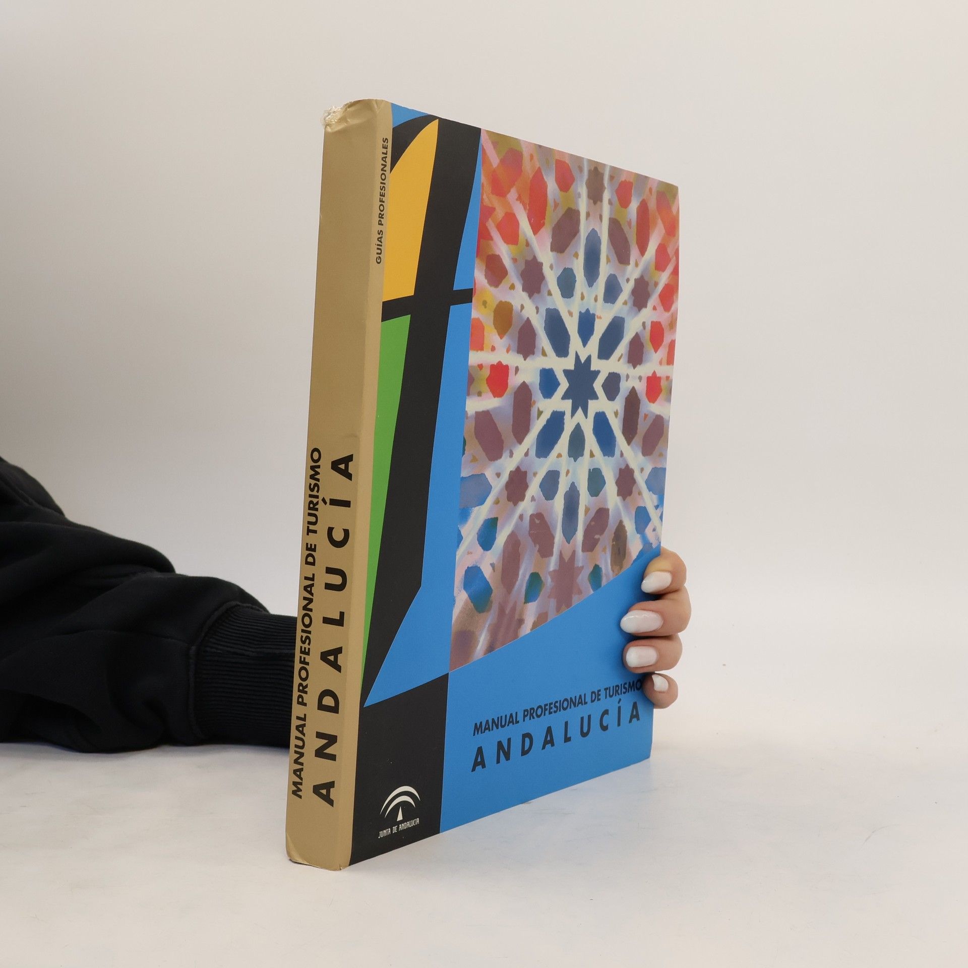 Autores varios Manual profesional de turismo. Andalucía