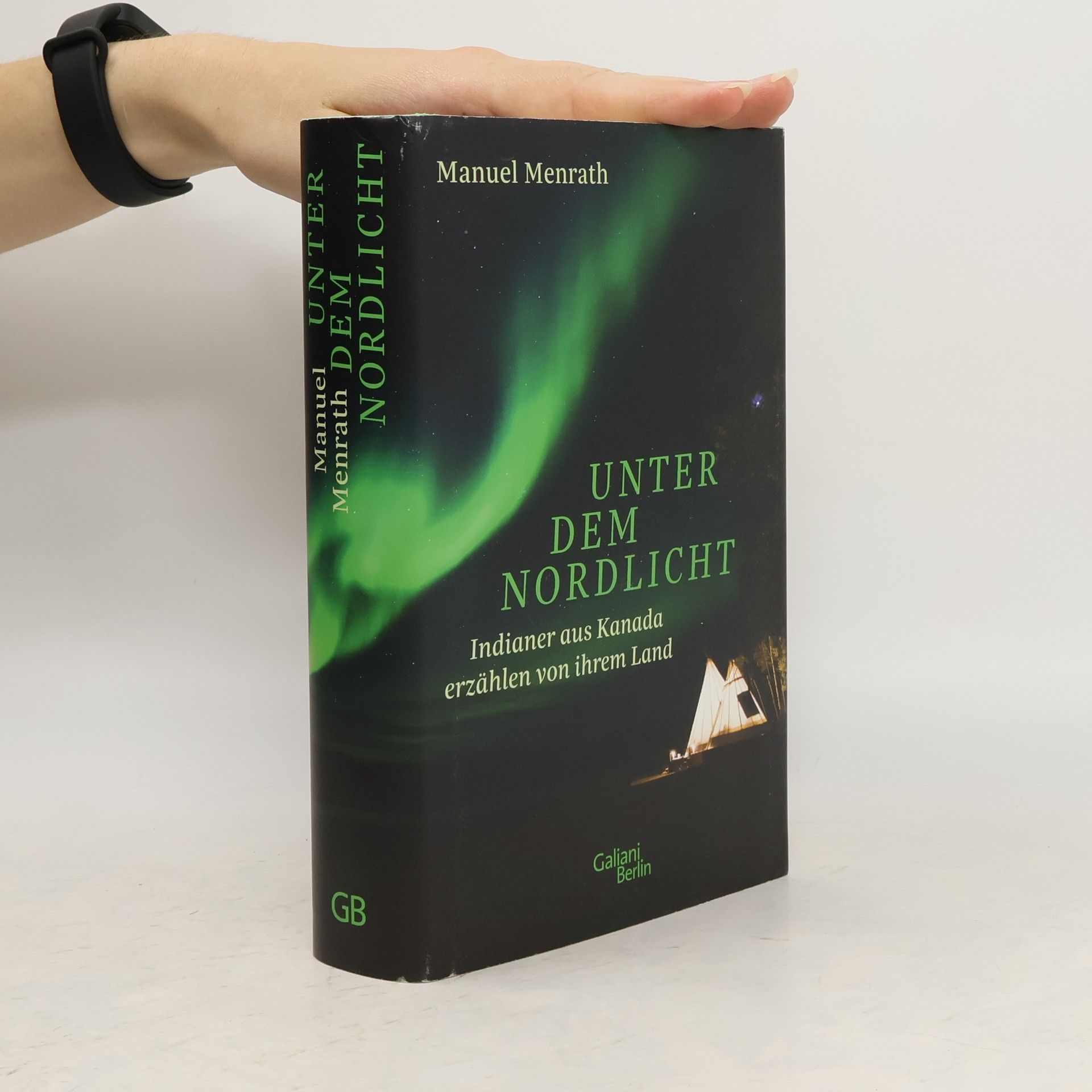 Unter dem Nordlicht