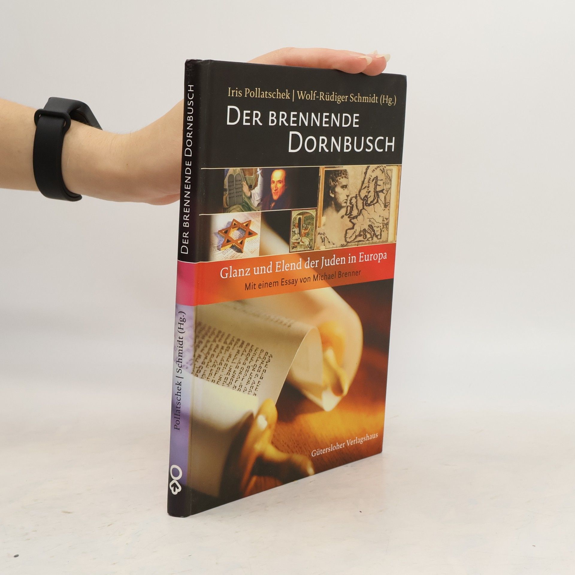 Iris Pollatschek Der brennende Dornbusch