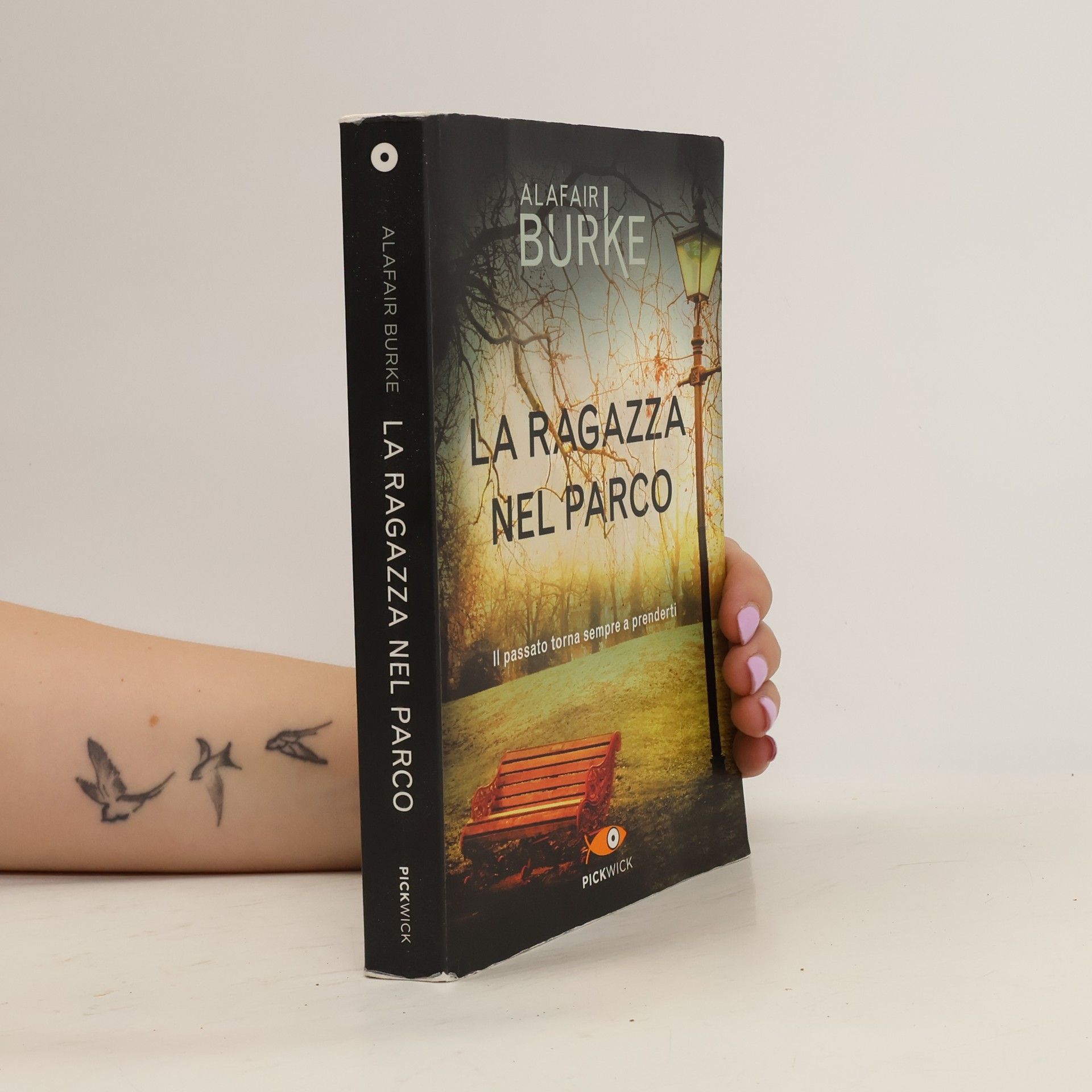 Alafair Burke La ragazza nel parco
