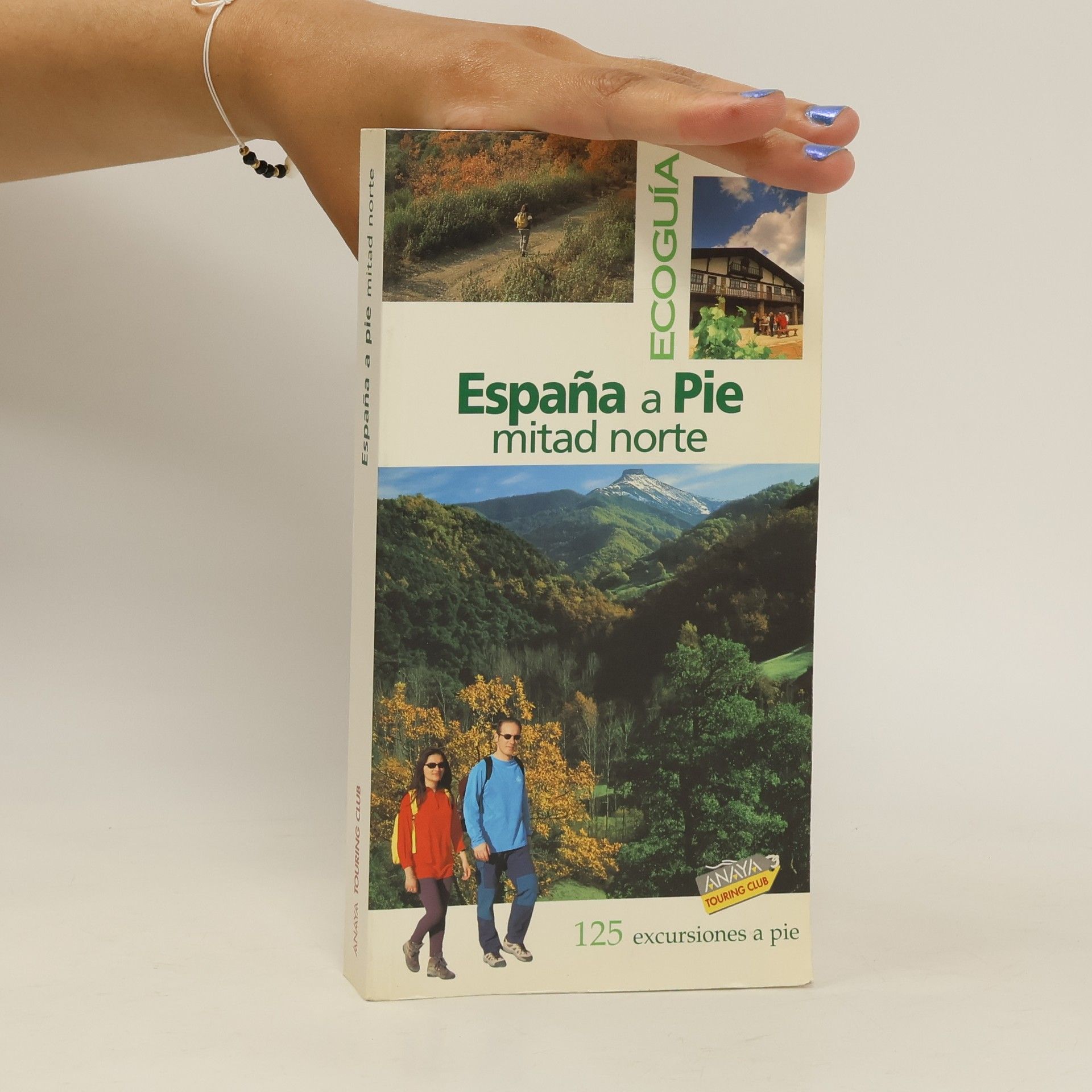 Ramón Martín España a Pie, mitad norte