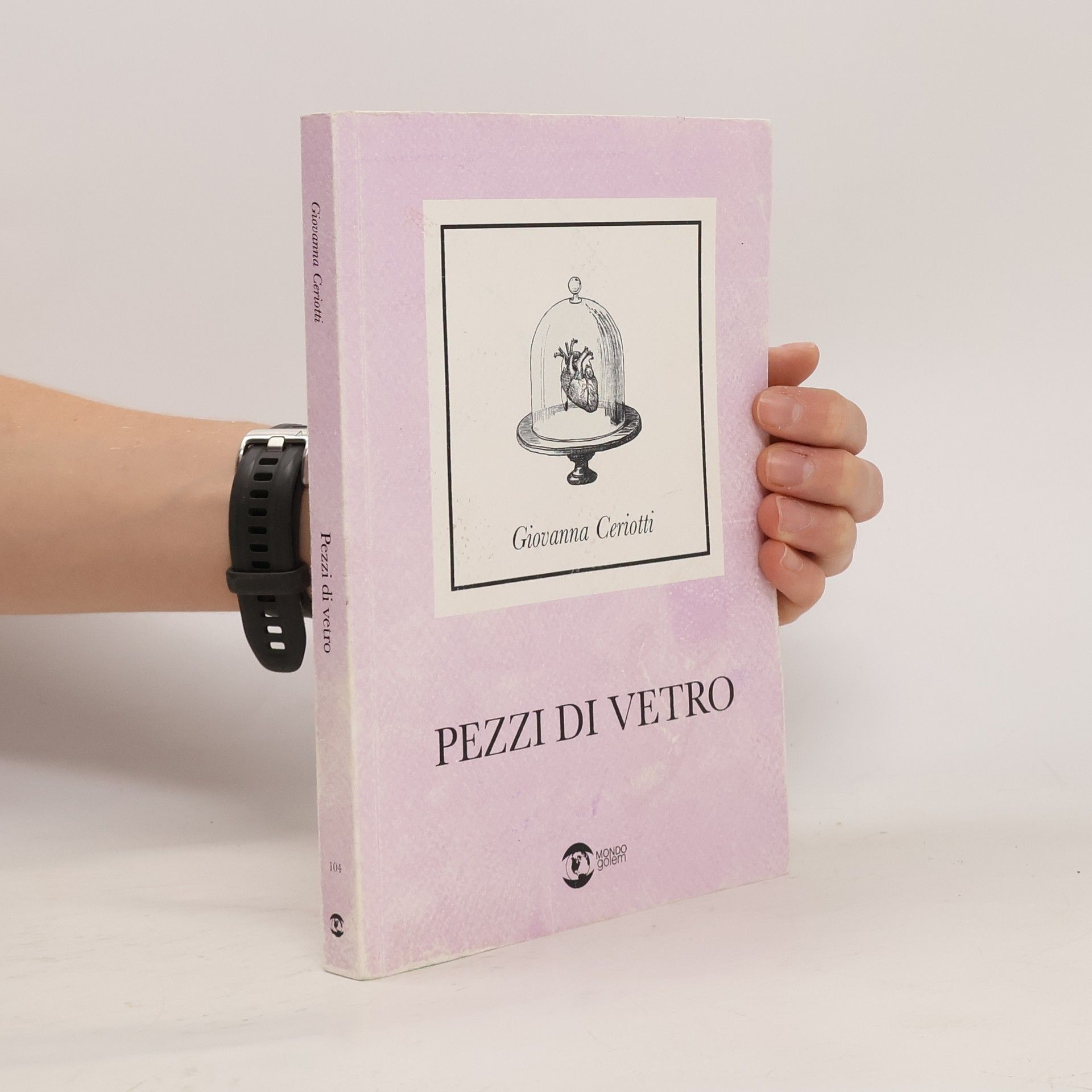 Giovanna Ceriotti Pezzi di vetro