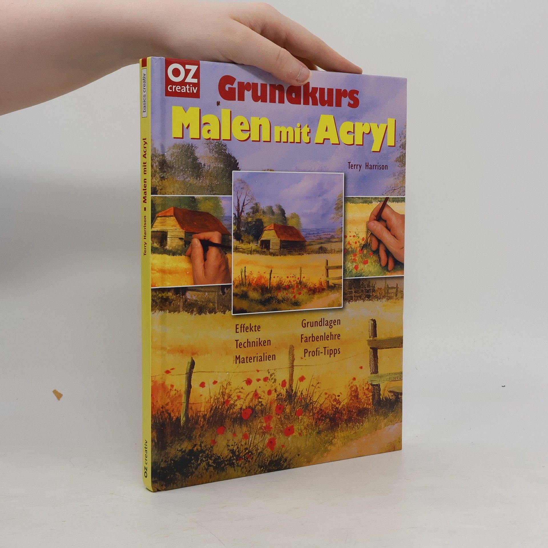 Terry Harrison Grundkurs Malen mit Acryl