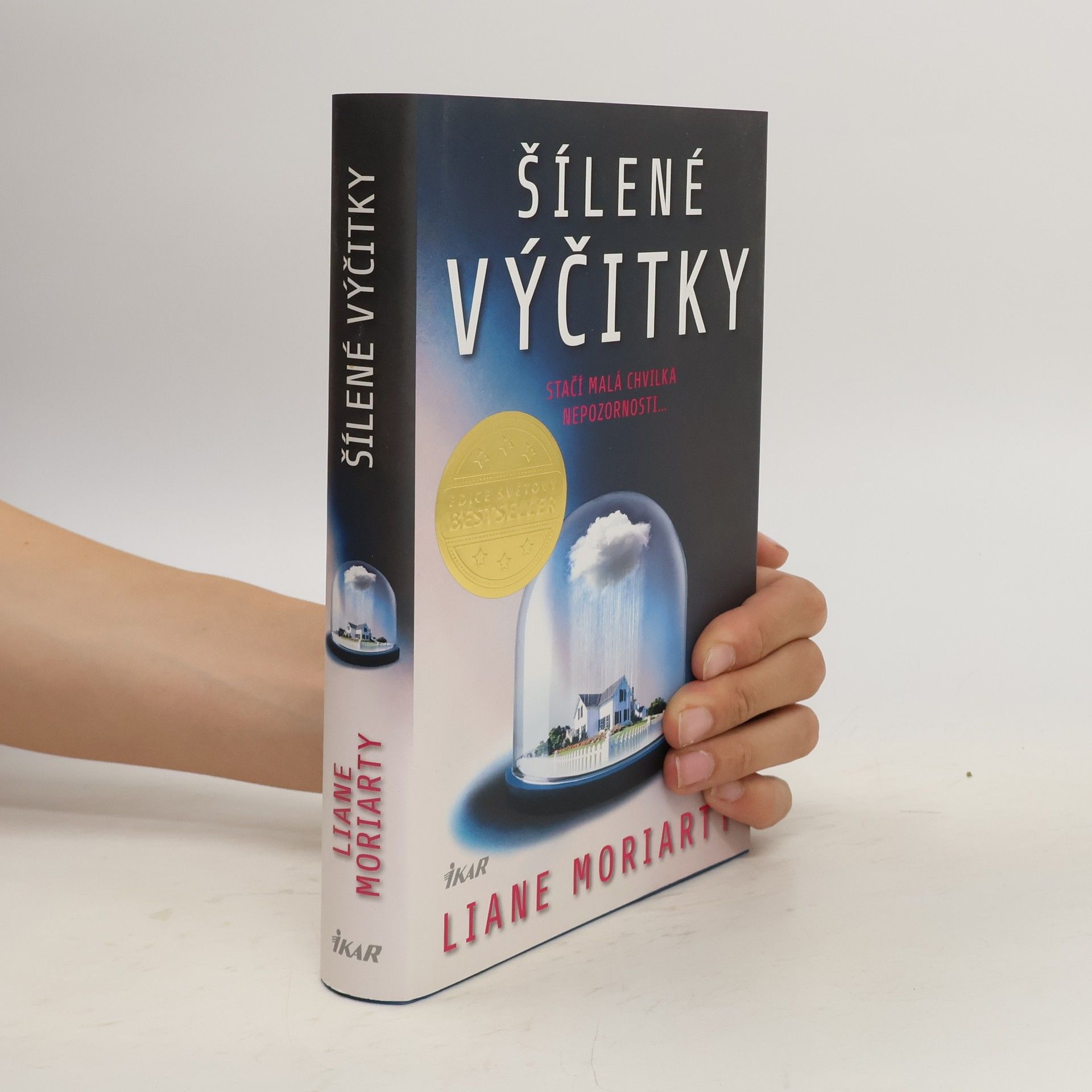 Liane Moriarty Šílené výčitky
