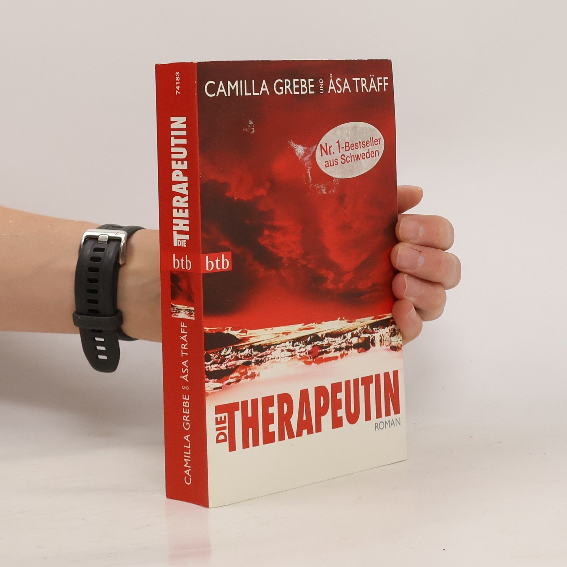 Camilla Grebe Die Therapeutin