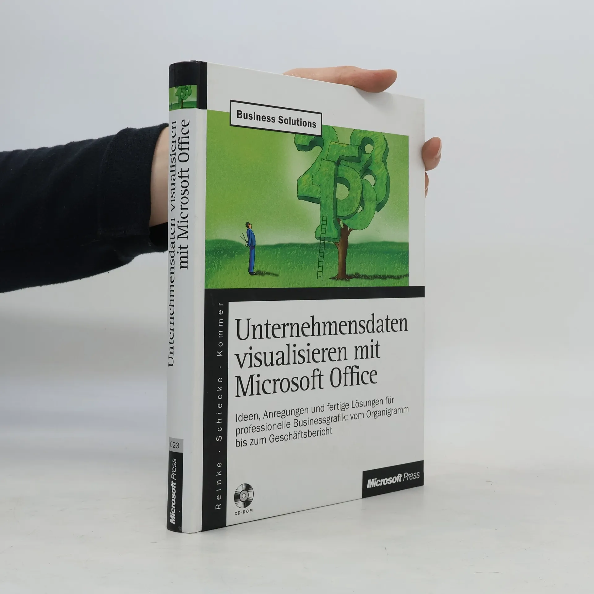 Unternehmensdaten visualisieren mit Microsoft Office | German | Book