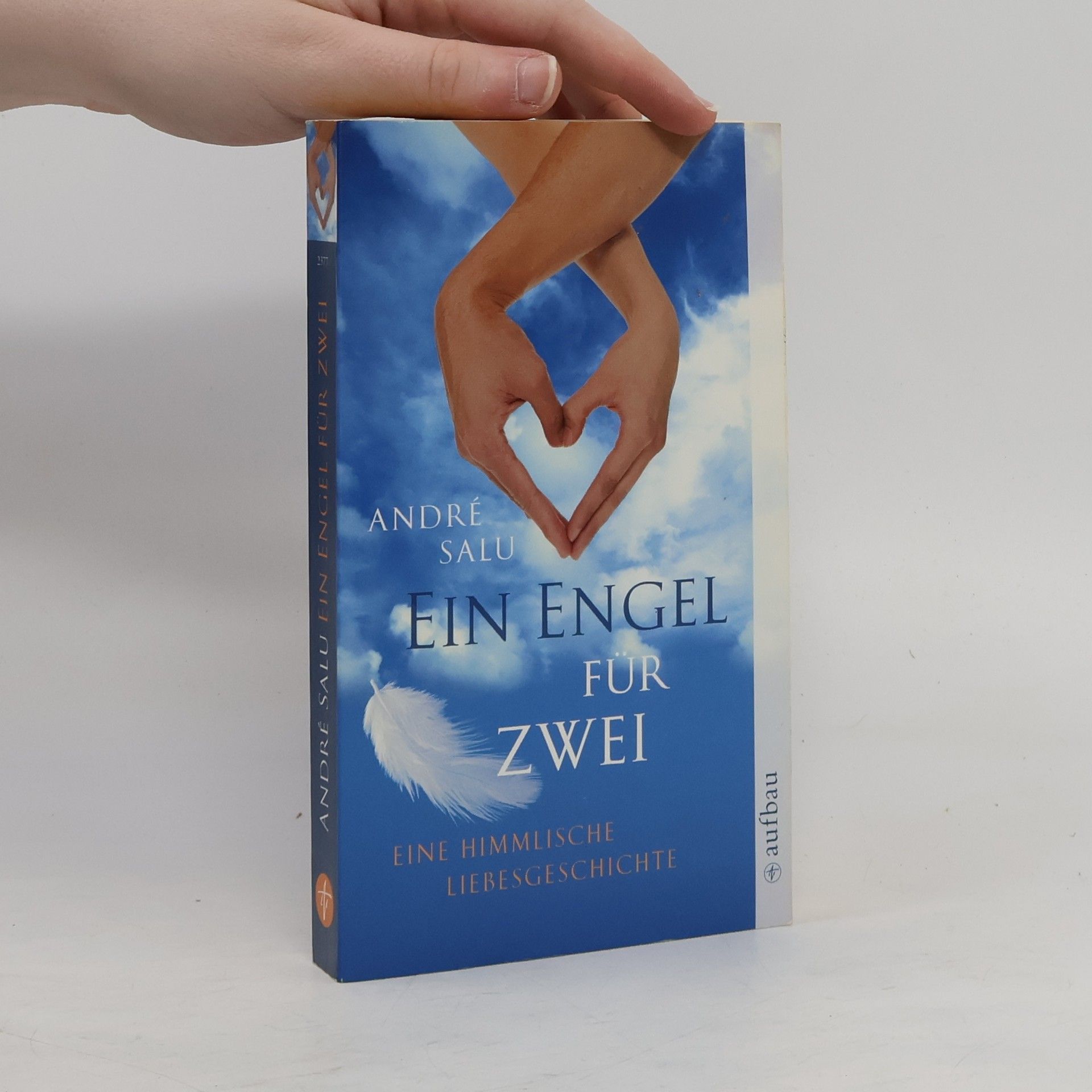 Andre Salu Ein Engel für zwei
