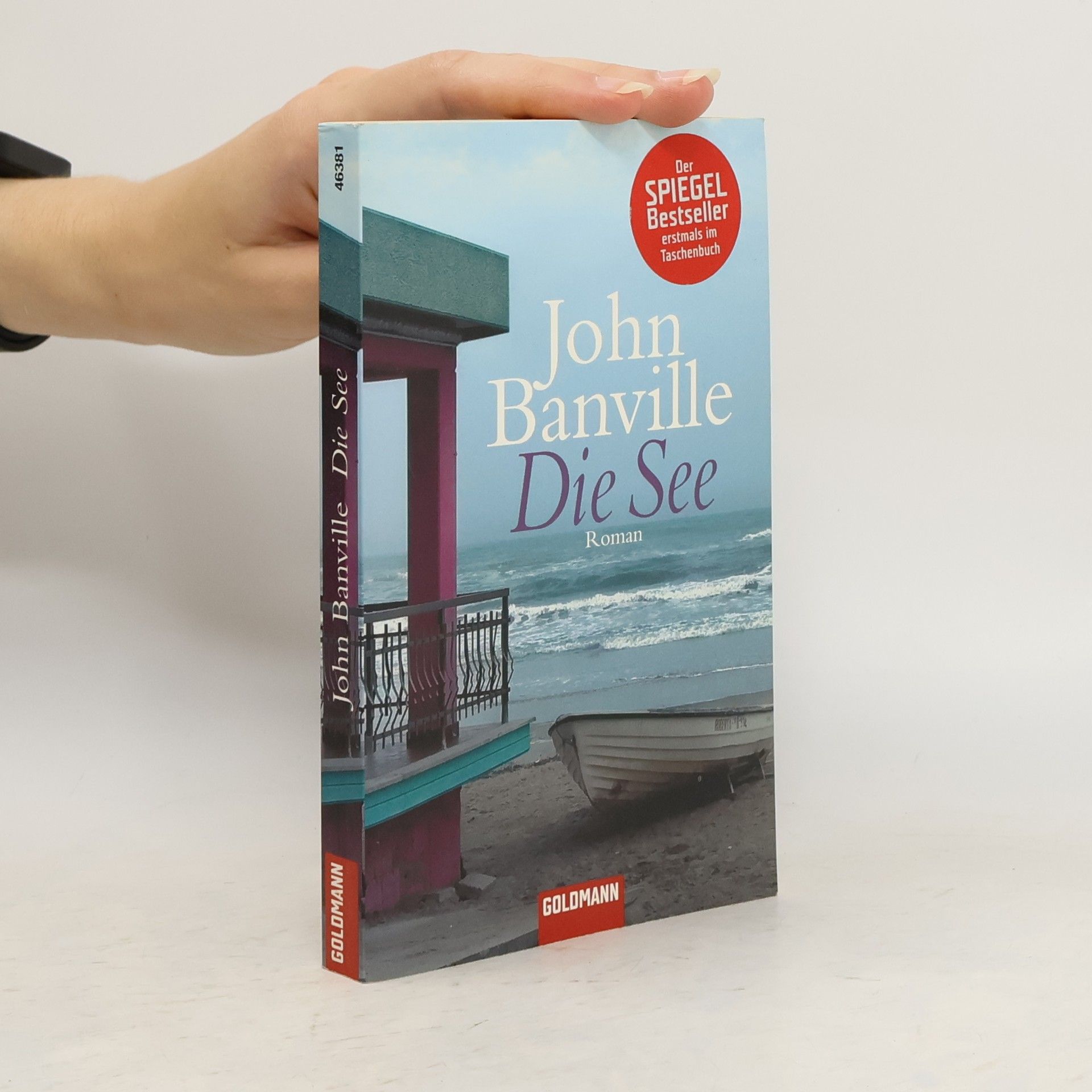 John Banville Die See