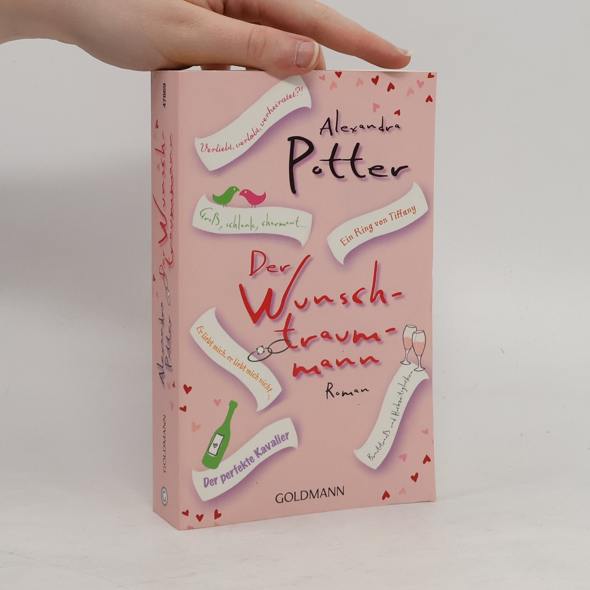 Alexandra Potter Der Wunschtraummann