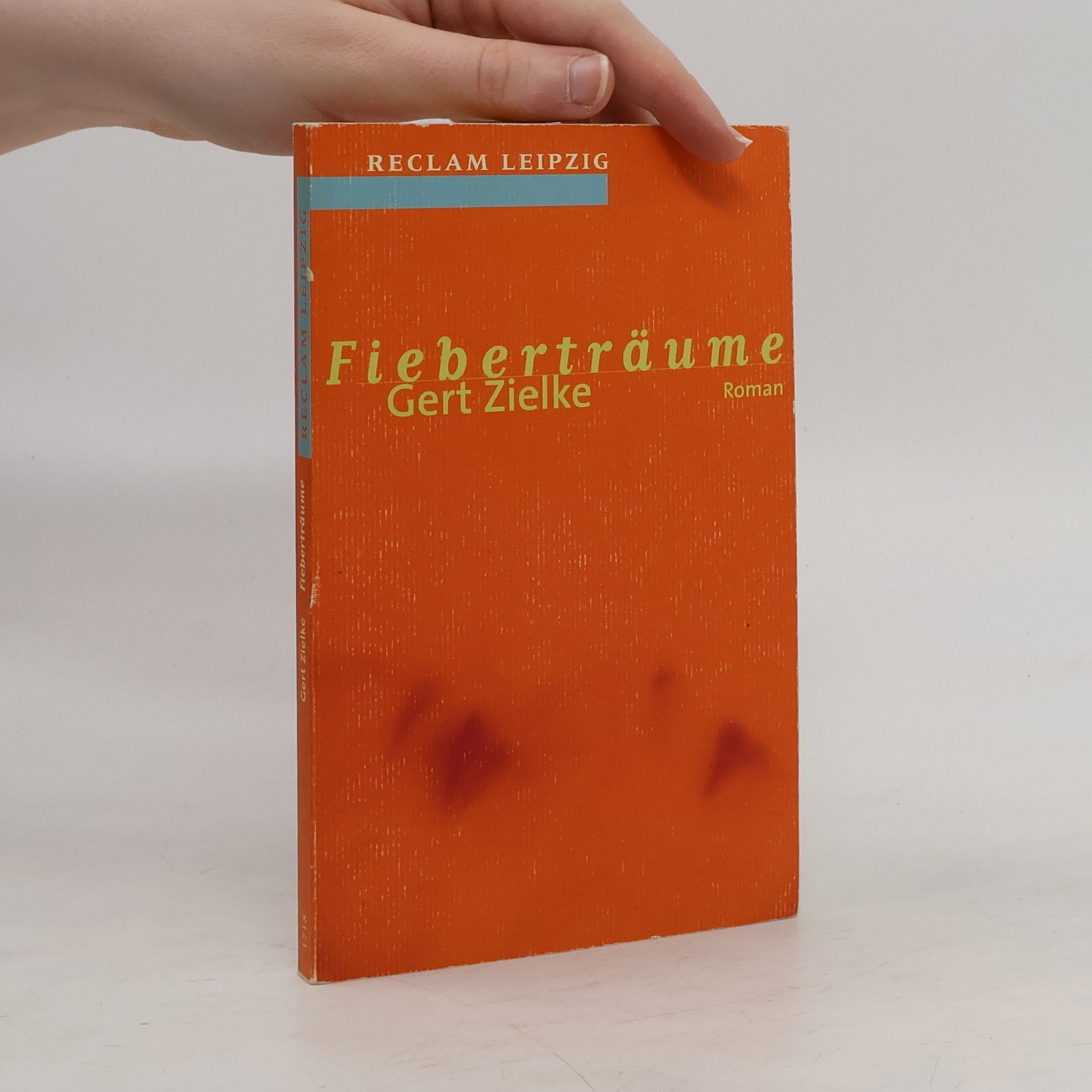 Gerd Zielke Fieberträume